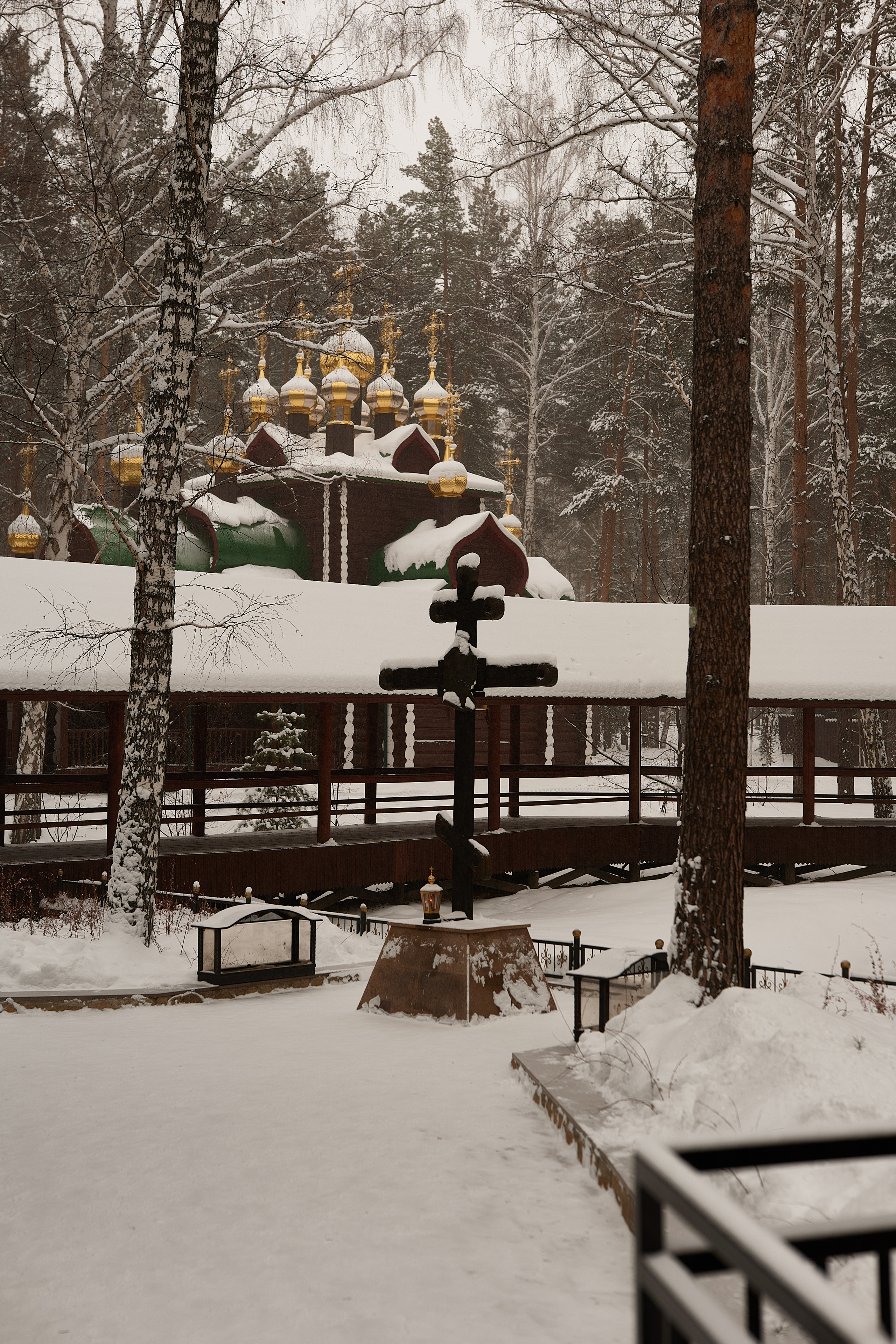 2021. Владимир Власюк