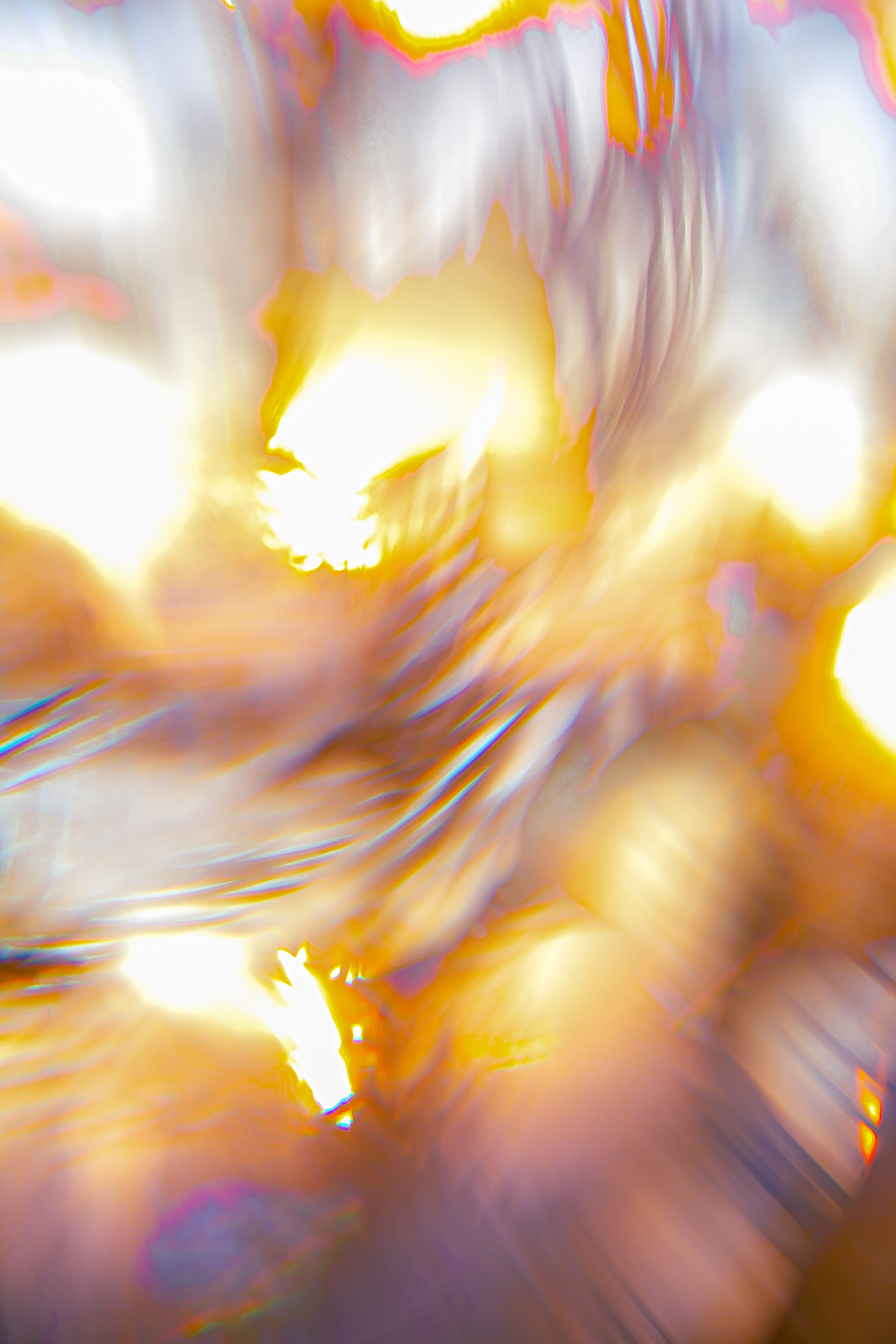 ЦВЕТА, 2025-2026. АННА ВЕРСО / ANNA VERSO | Визуальный художник / Visual artist