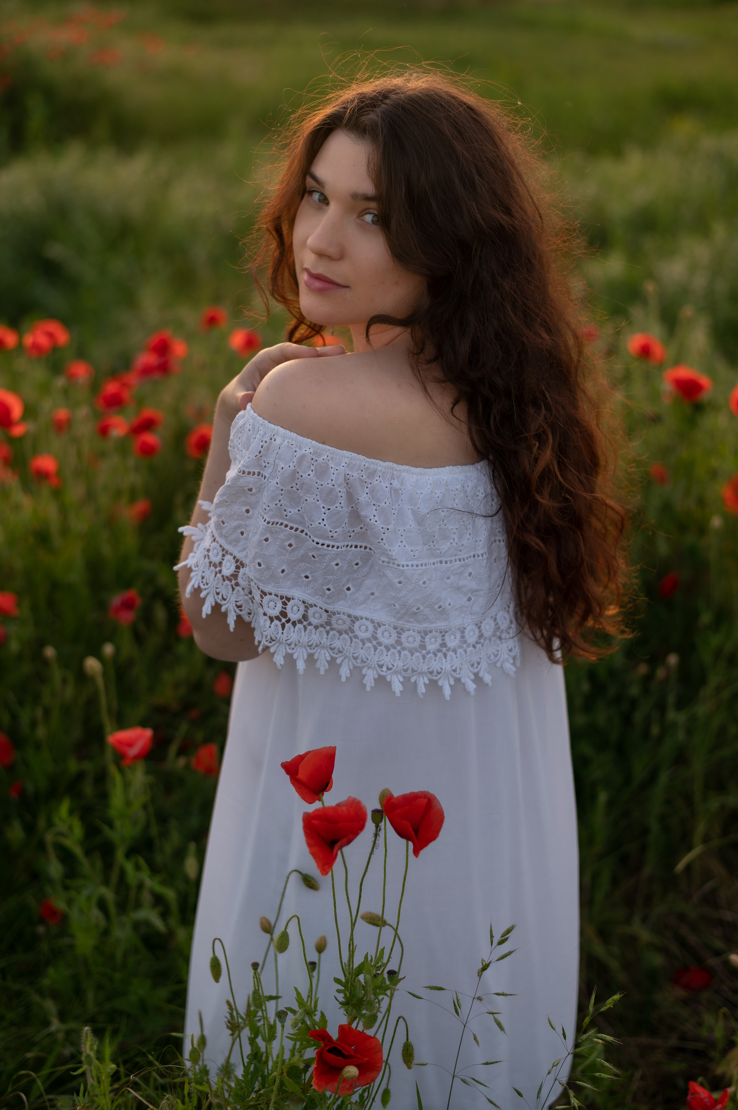 Маковое поле. Бизнес-Фотограф Краснодар