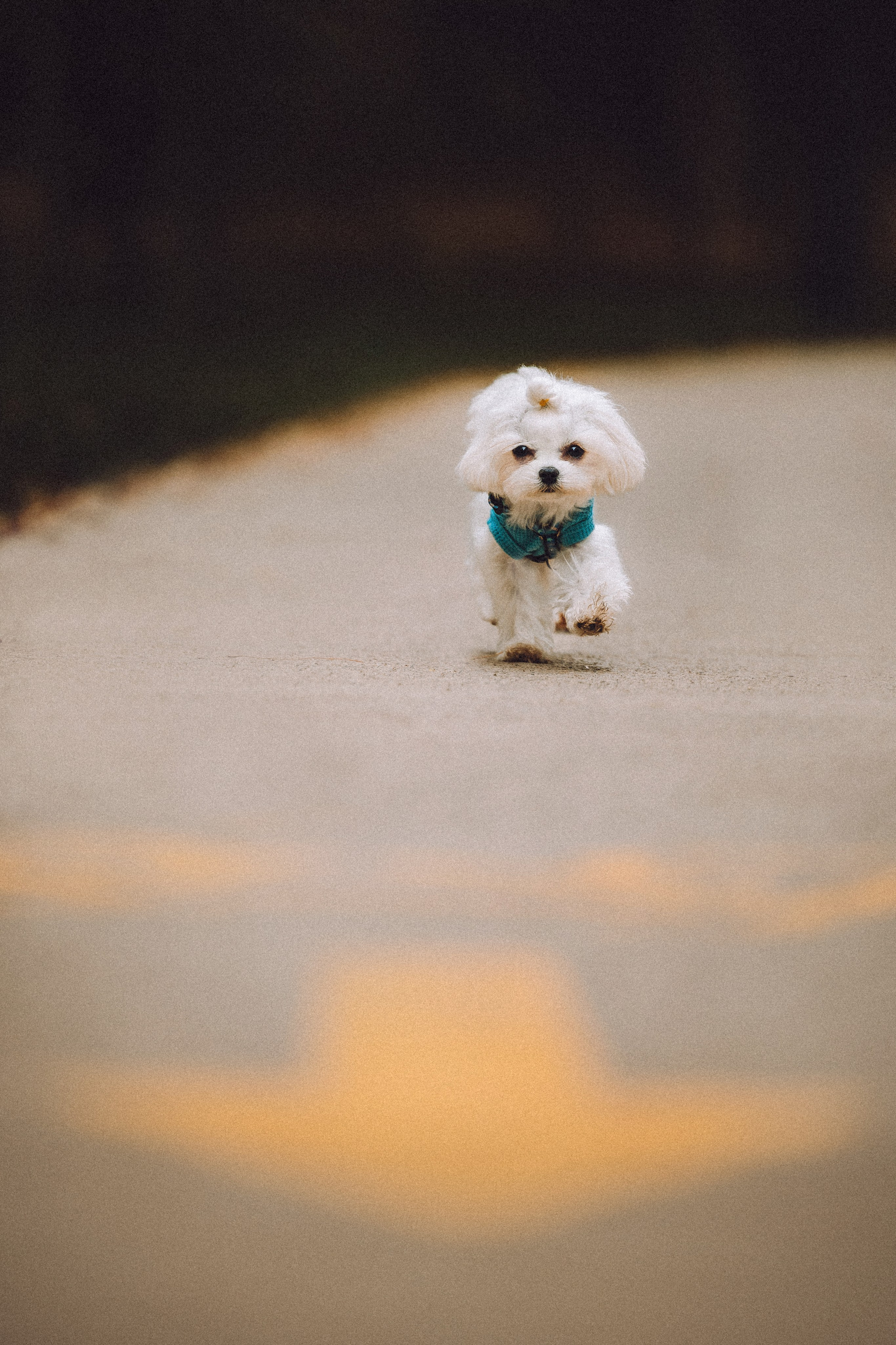Настя и Гоша