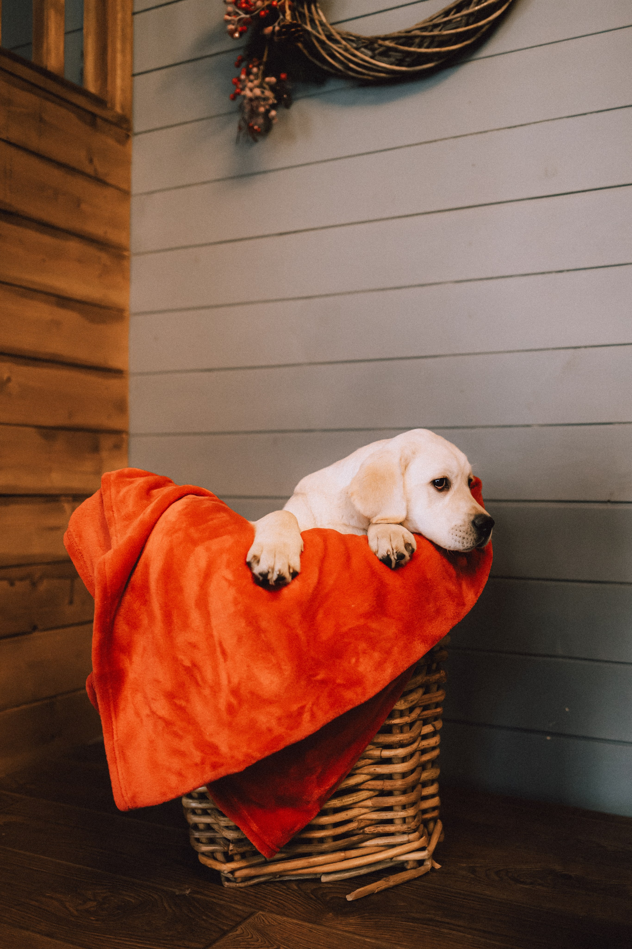 Ума, Берта и их семья