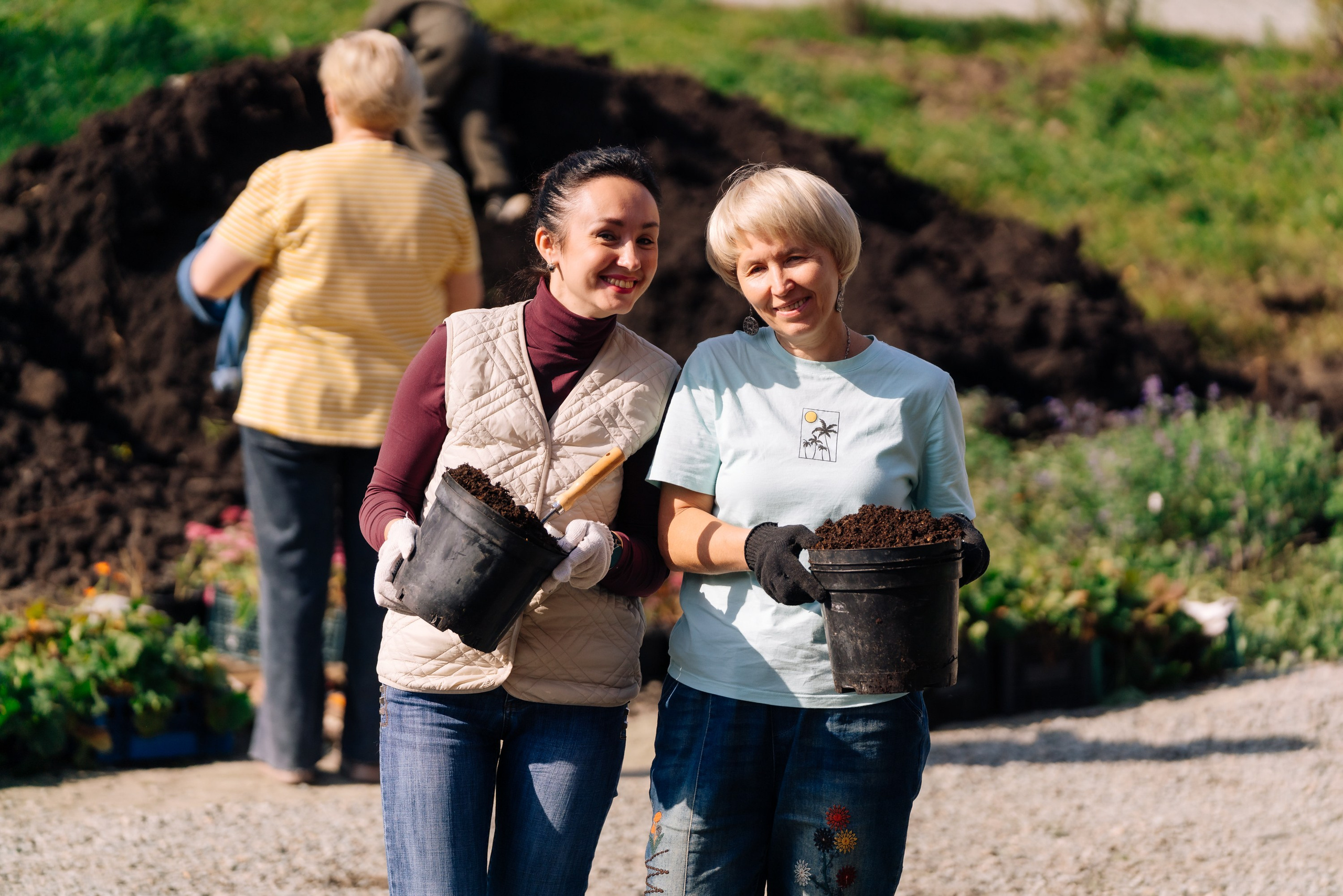 Дневные события. Geometria