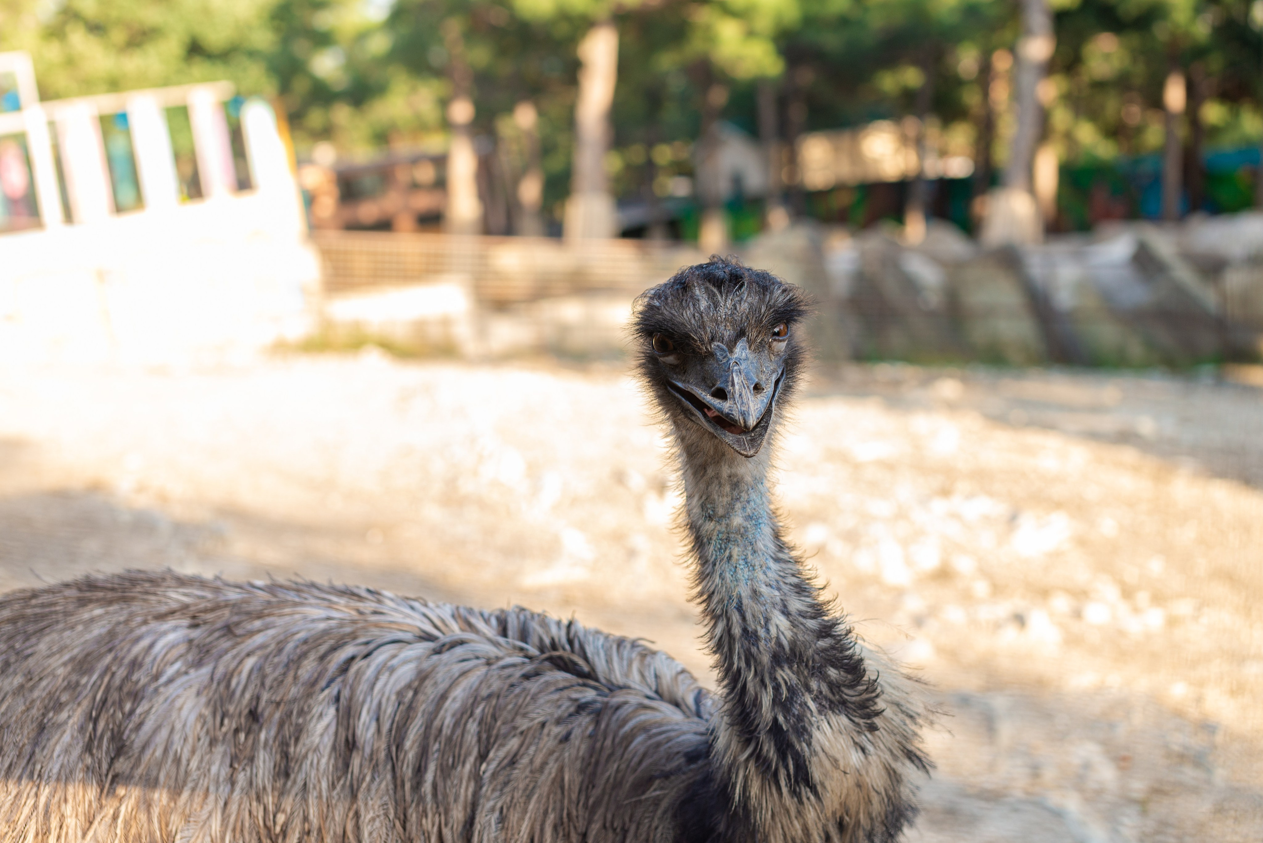 Июнь–Июль Отпуск Белореченск, Геленджик. Семейный, Свадебный фотограф СПБ Питер— Романова Екатерина