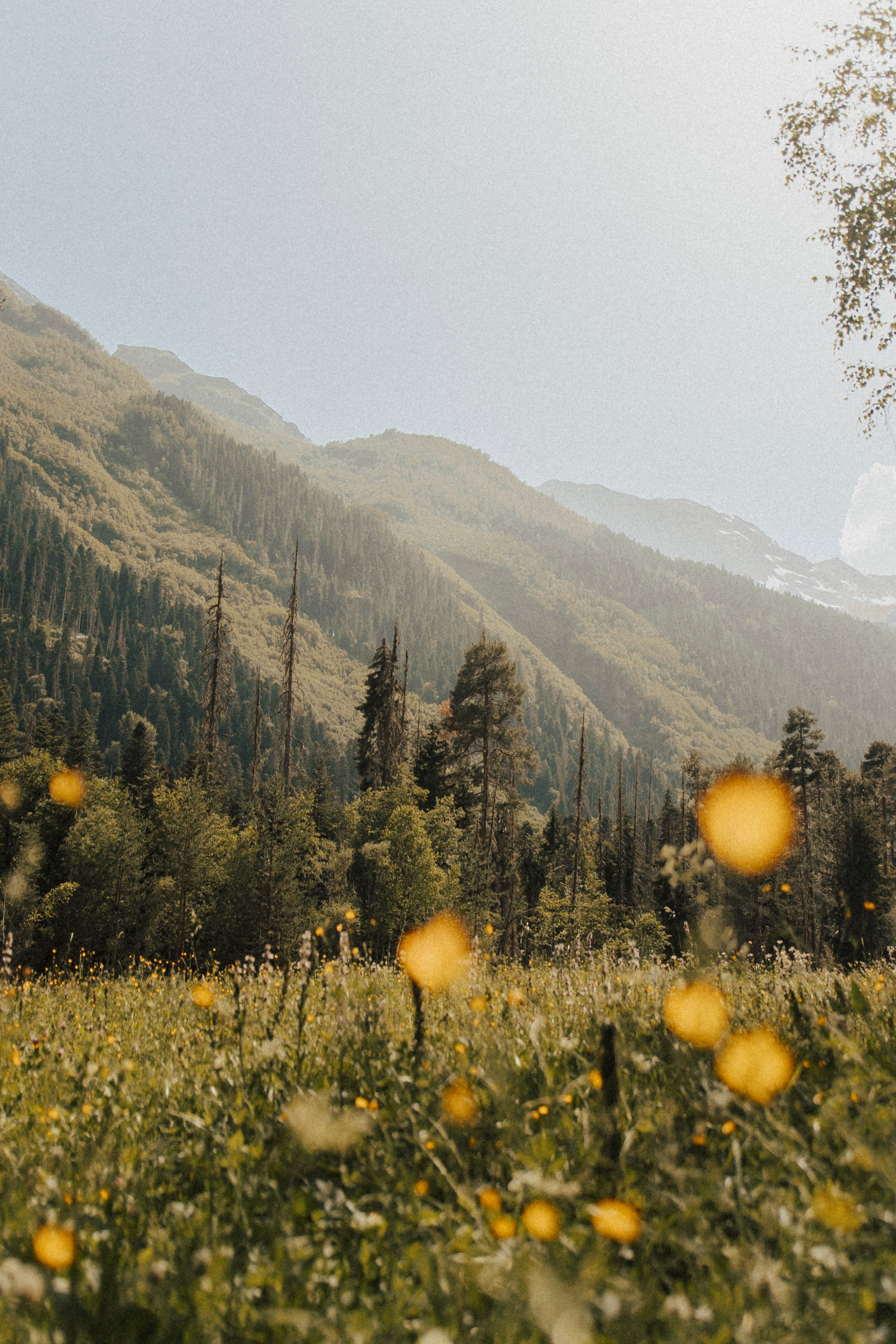 FAMILY TRIP | DOMBAY. Фотограф Настя Конник | Пятигорск | Эльбрус | Домбай | Архыз