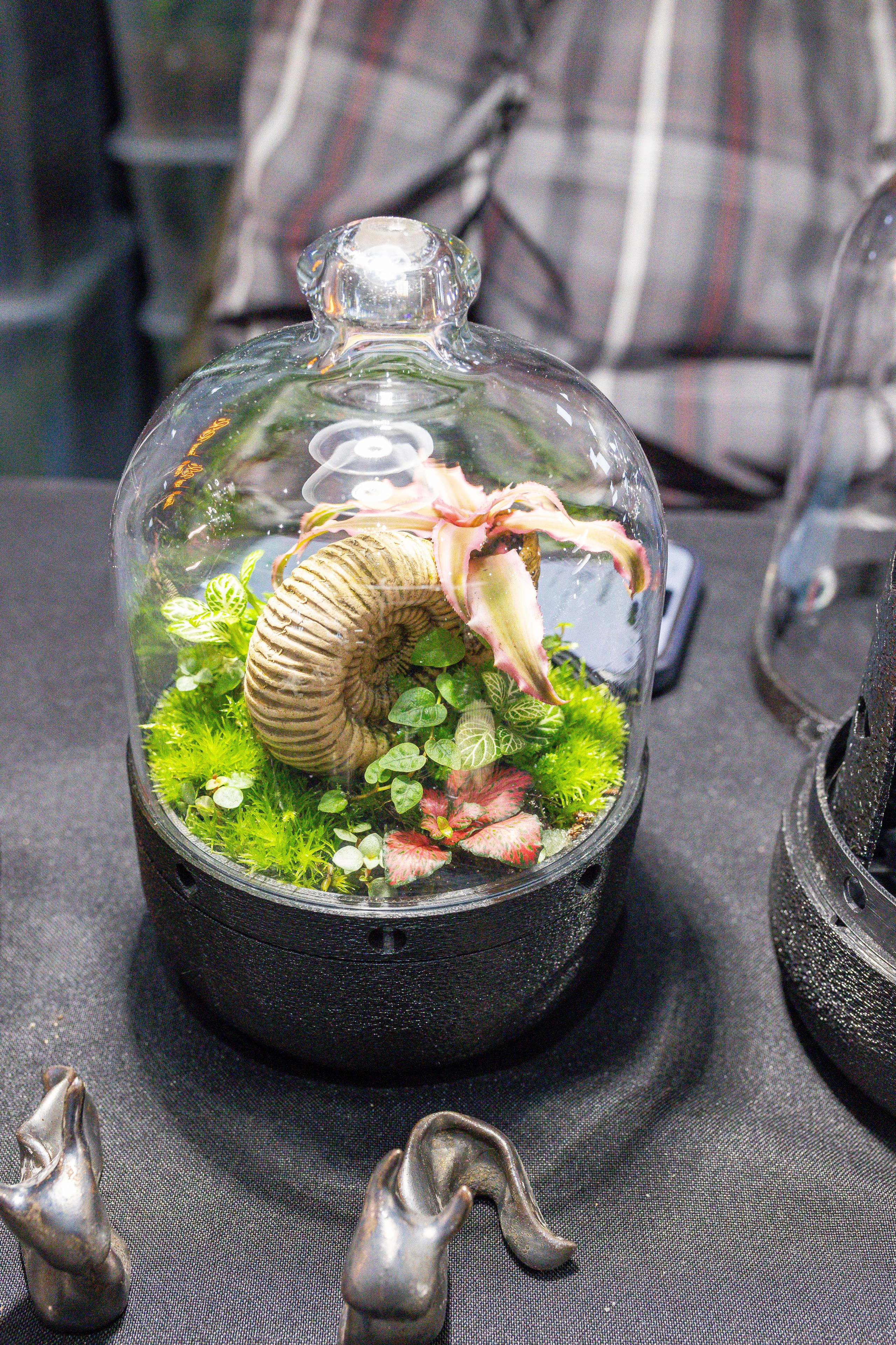 Монстериум апрель 2025. Александра Куликова фотограф, Москва