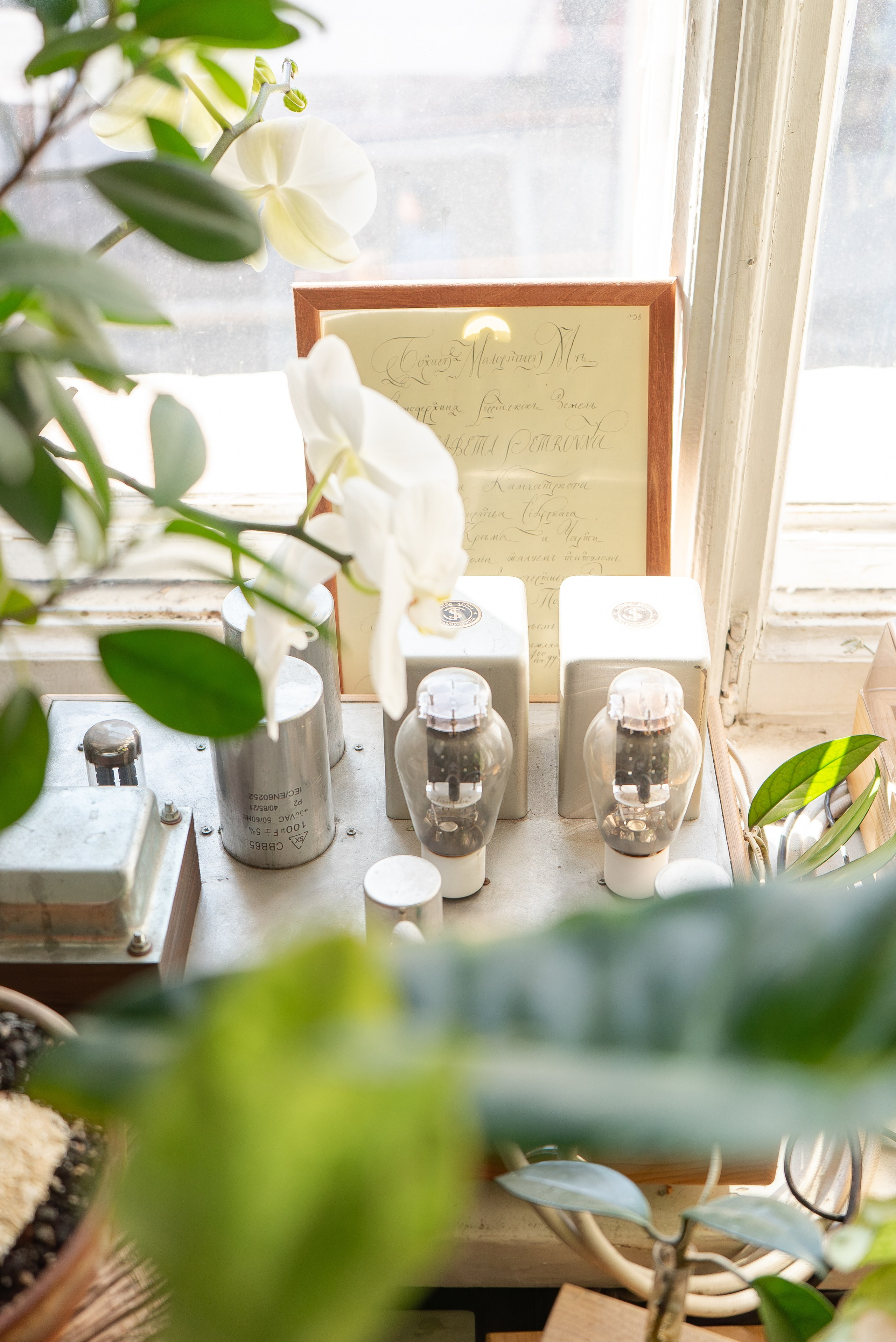 Усадьба. Александра Куликова фотограф, Москва