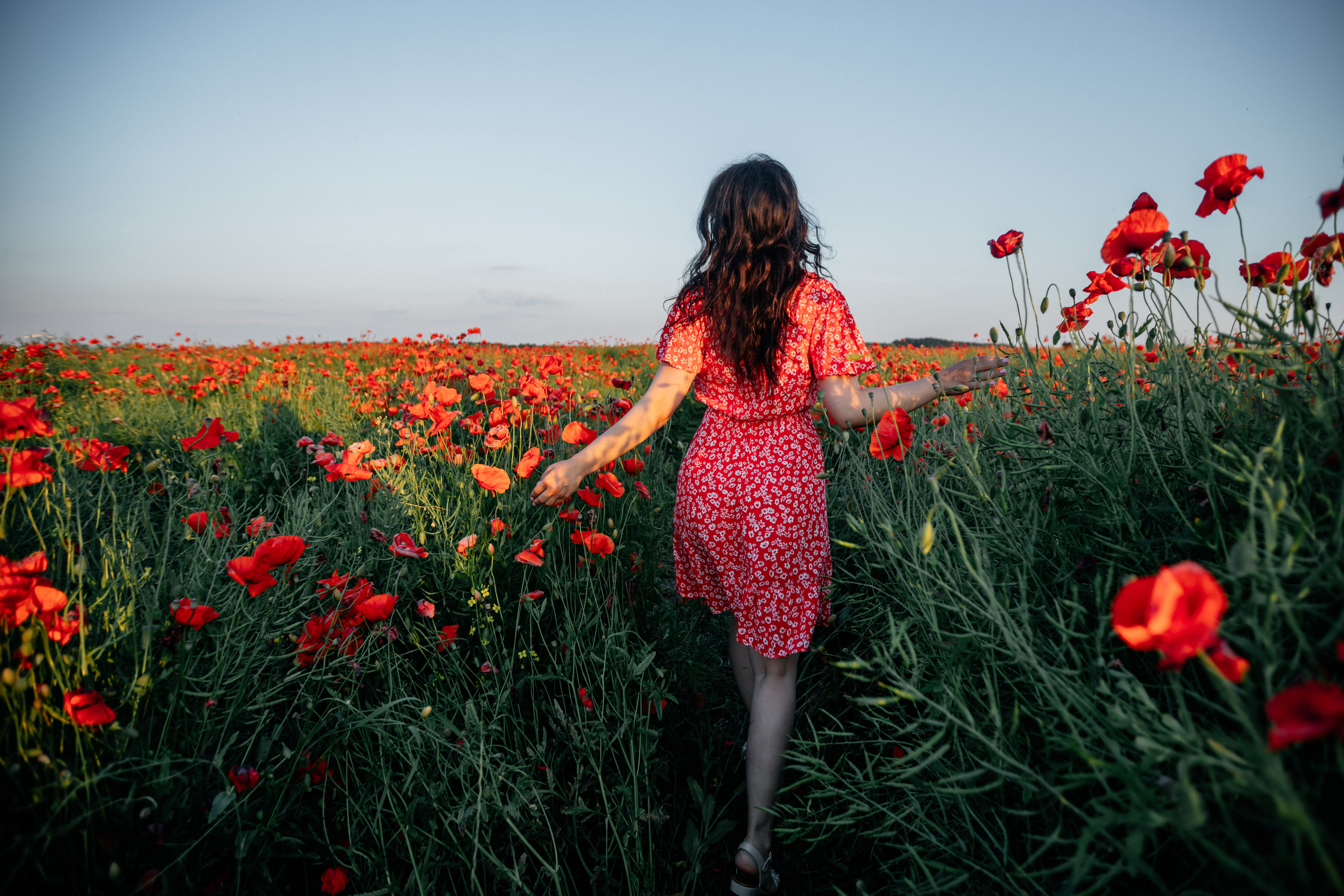 Екатерина. Свадебные фотограф и видеограф в Минске Голдосовы Марина и Вадим