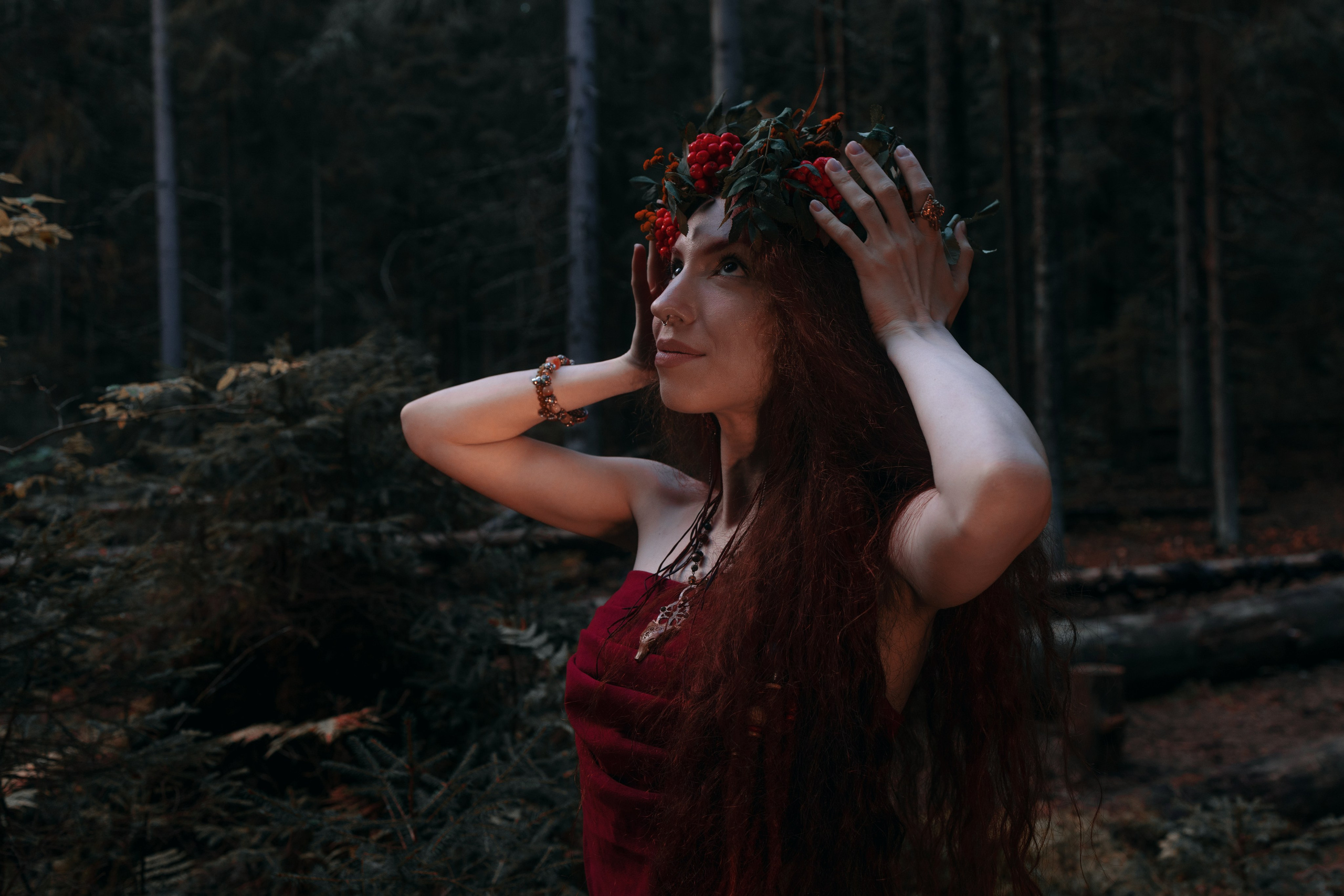 Огненная Лисица