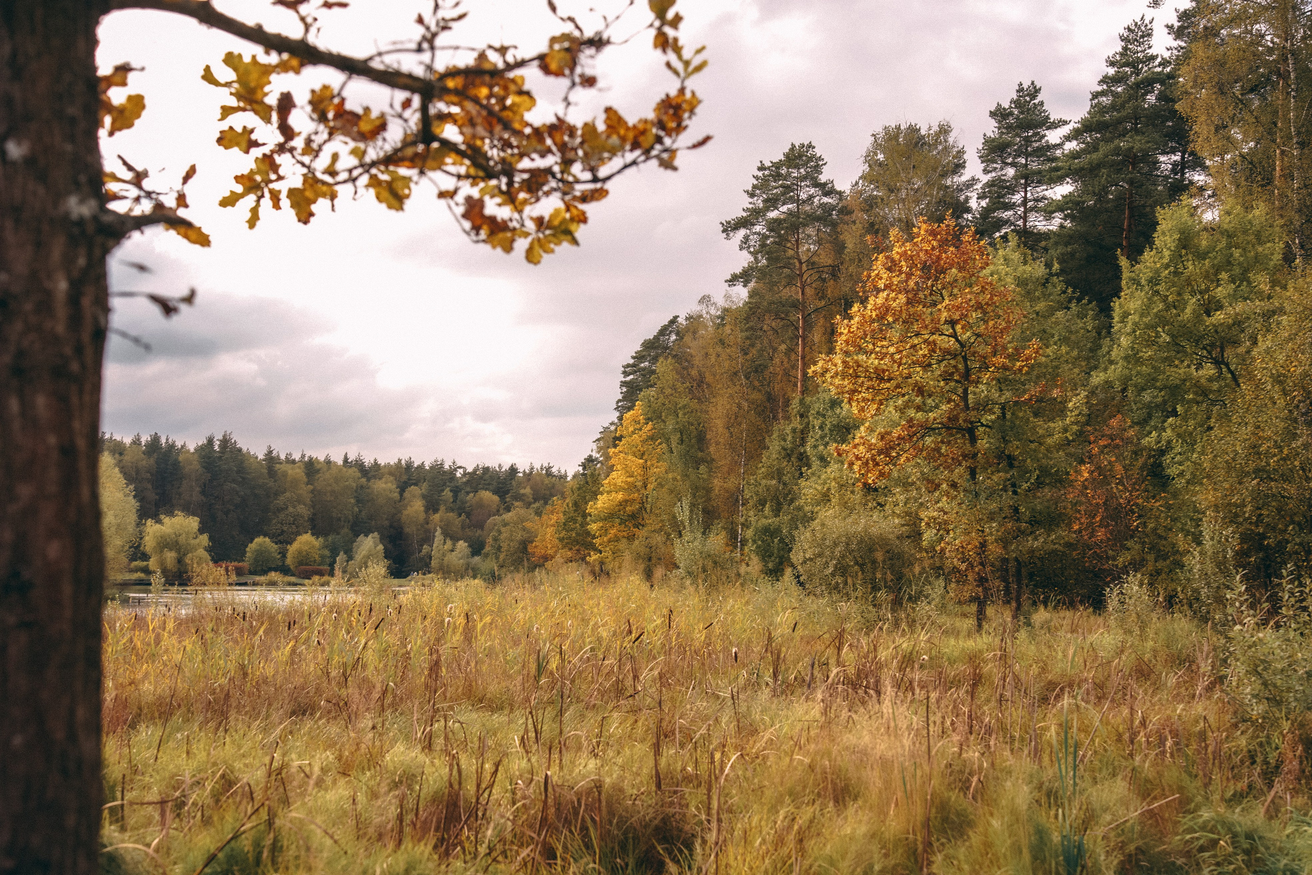Осень 2025. Фотограф из Москвы — DASHA NOVA | Авторская фотография в разных жанрах