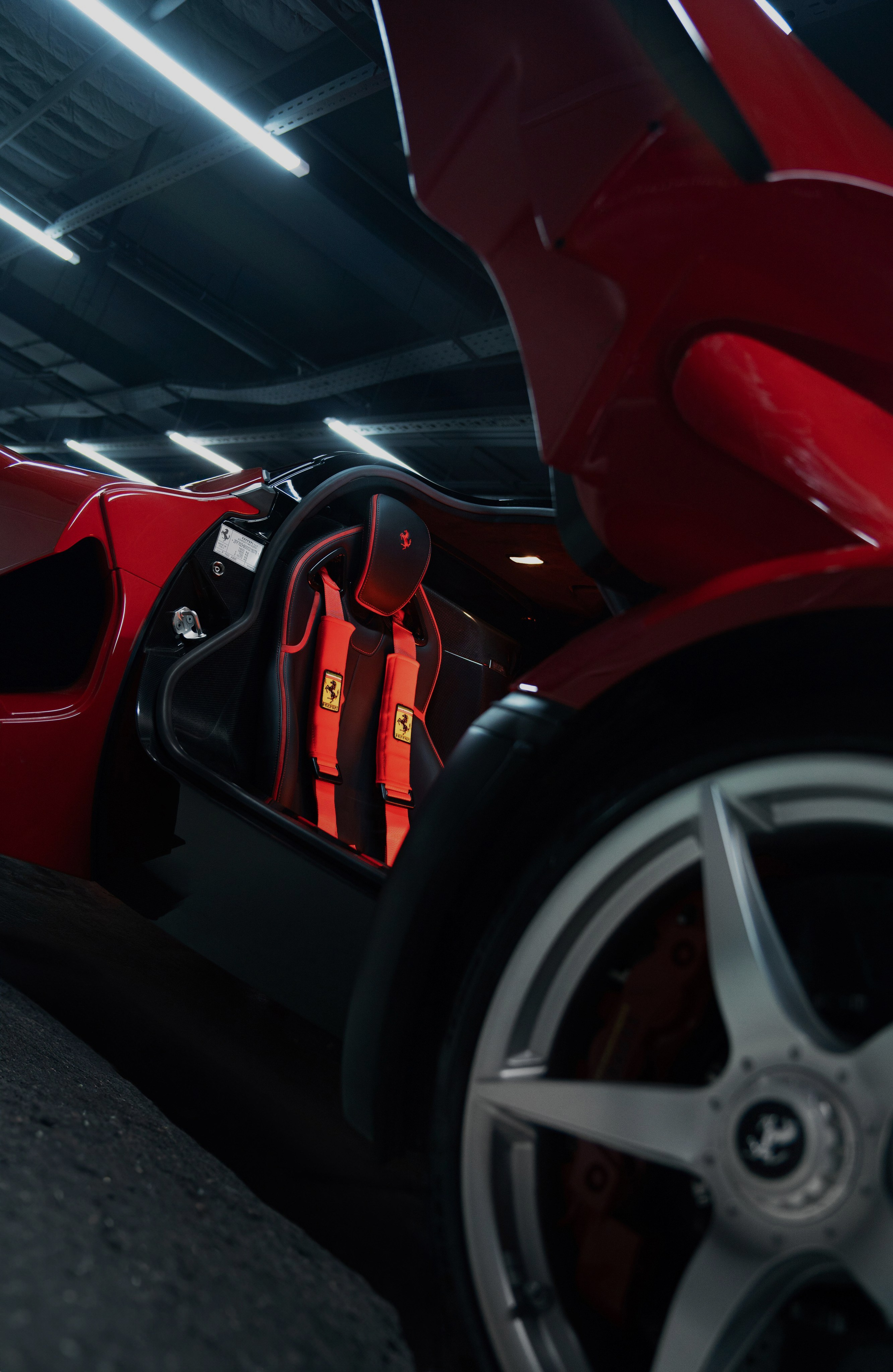 Фотограф Светлана Усова