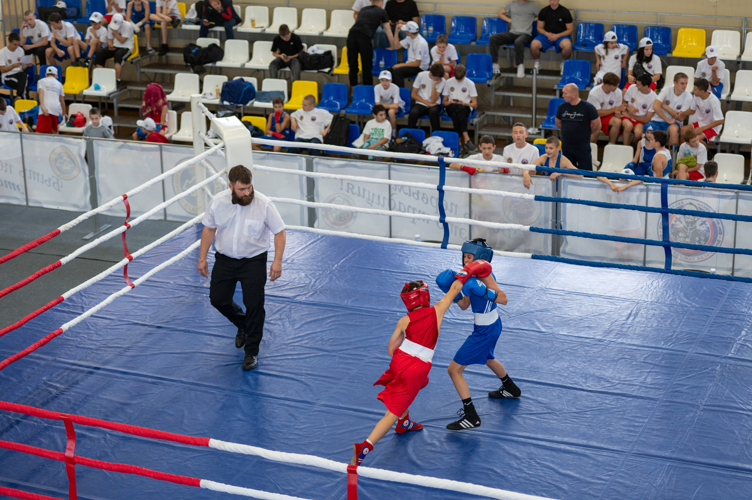 Соревнования по боксу памяти участника ВОВ В. И. Сапрунова. Фотограф в Самаре