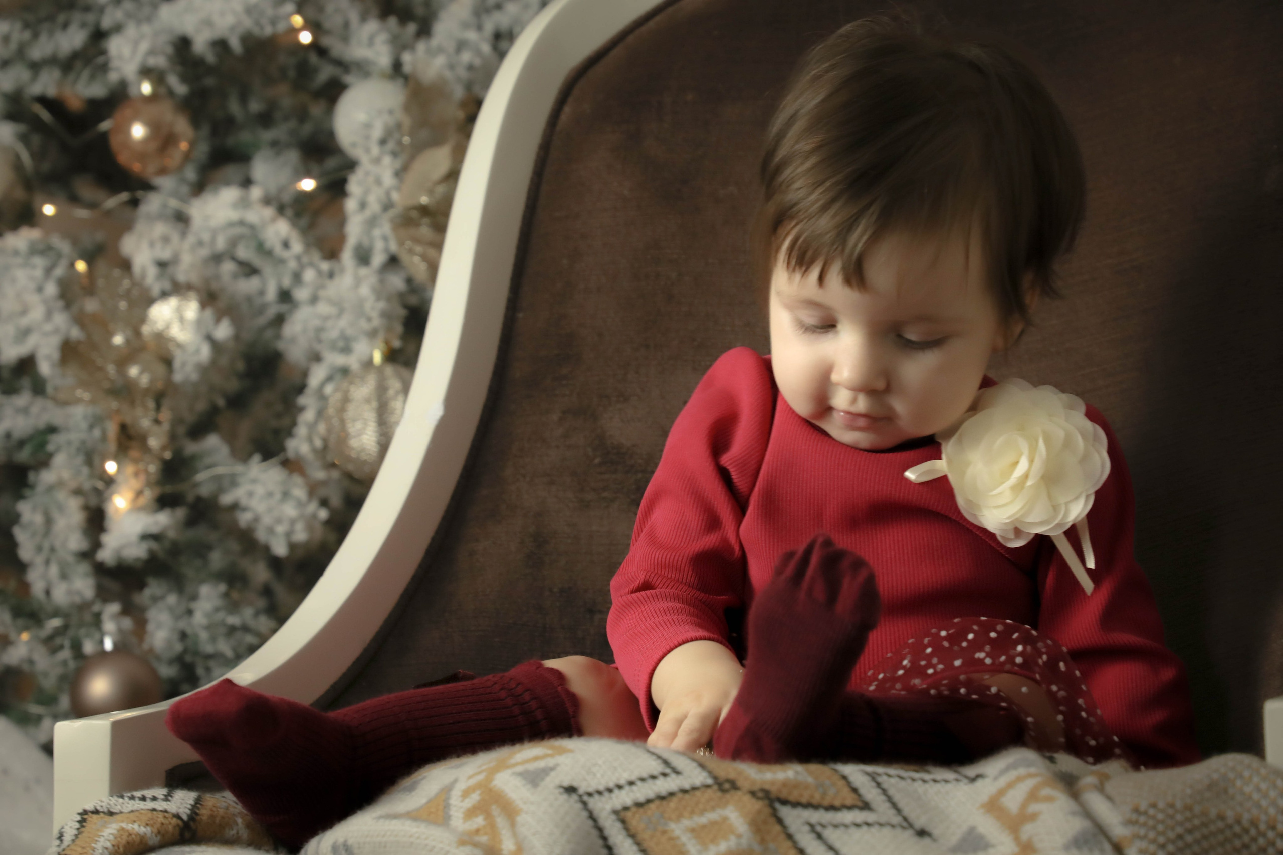 Новогодние фотосессии