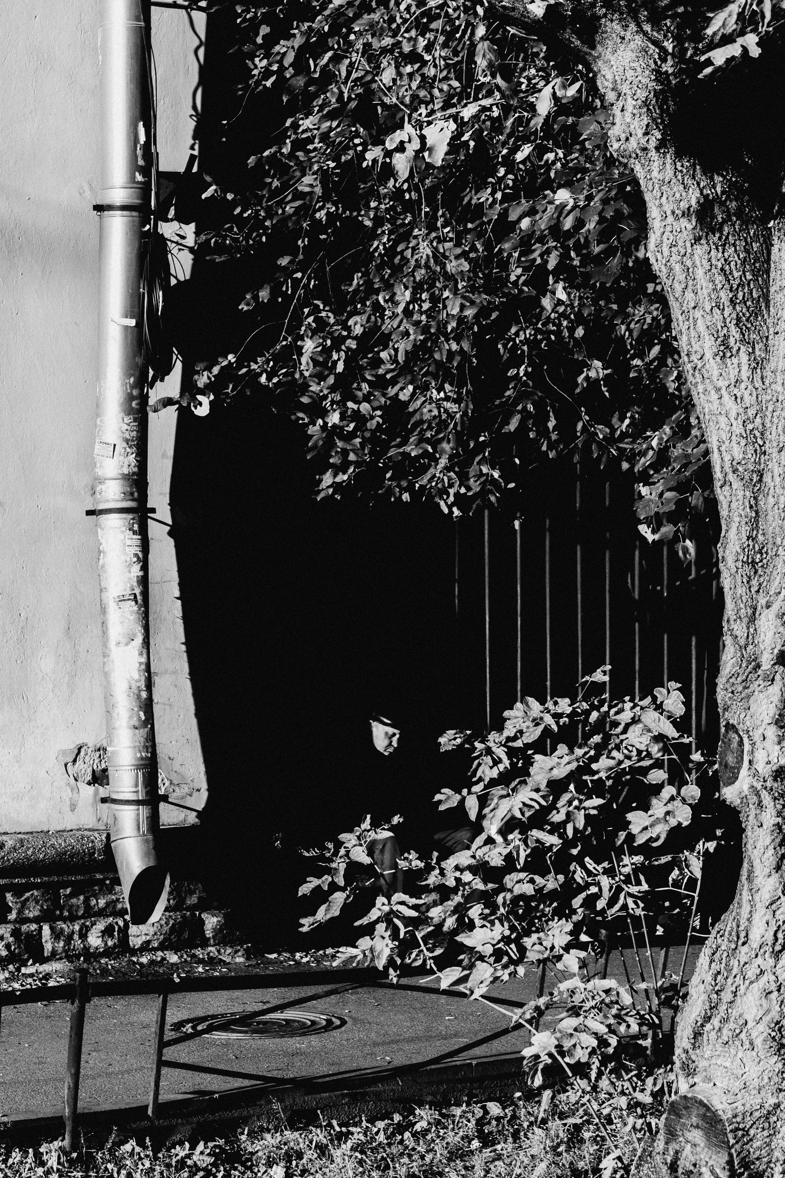 Андрей Корепов. Фотограф в Санкт-Петербурге