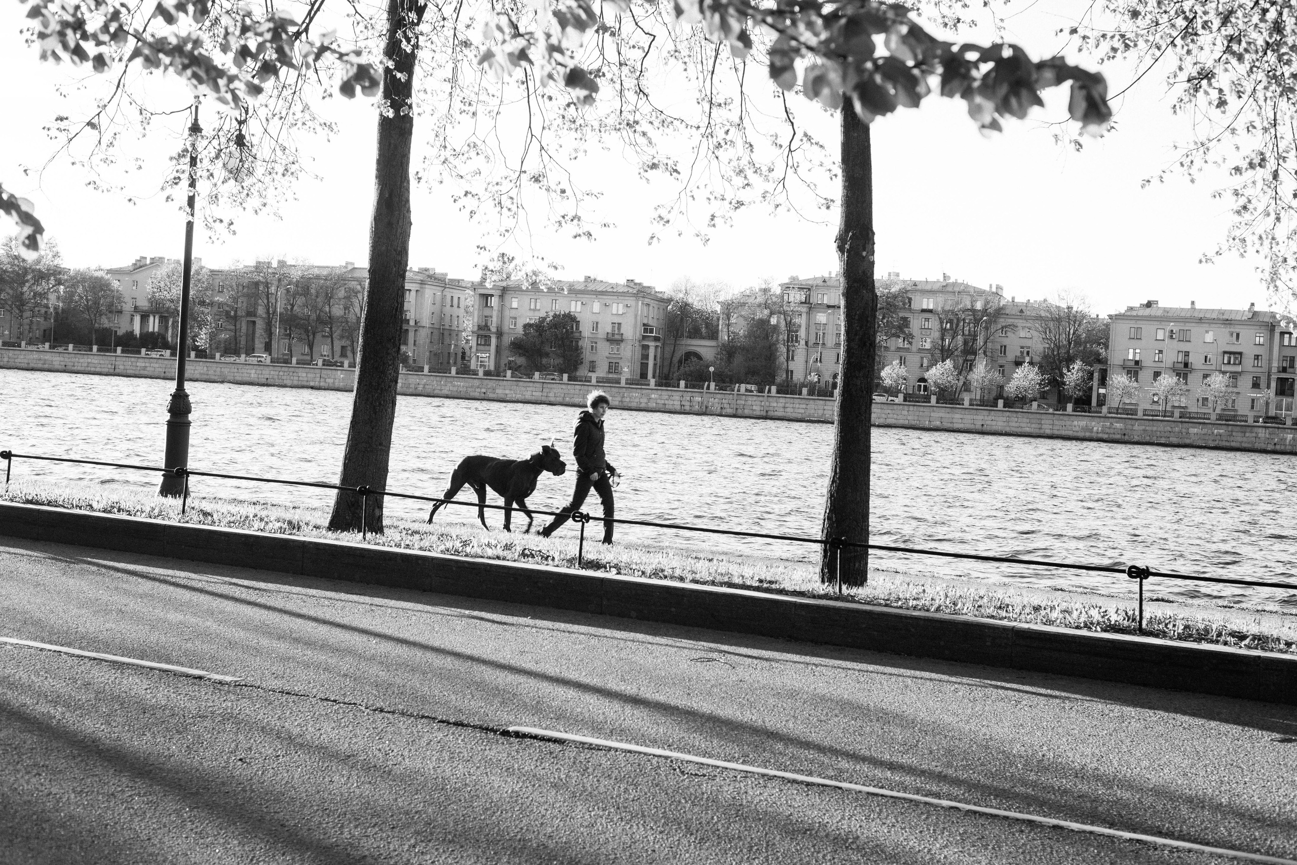 Андрей Корепов. Фотограф в Санкт-Петербурге
