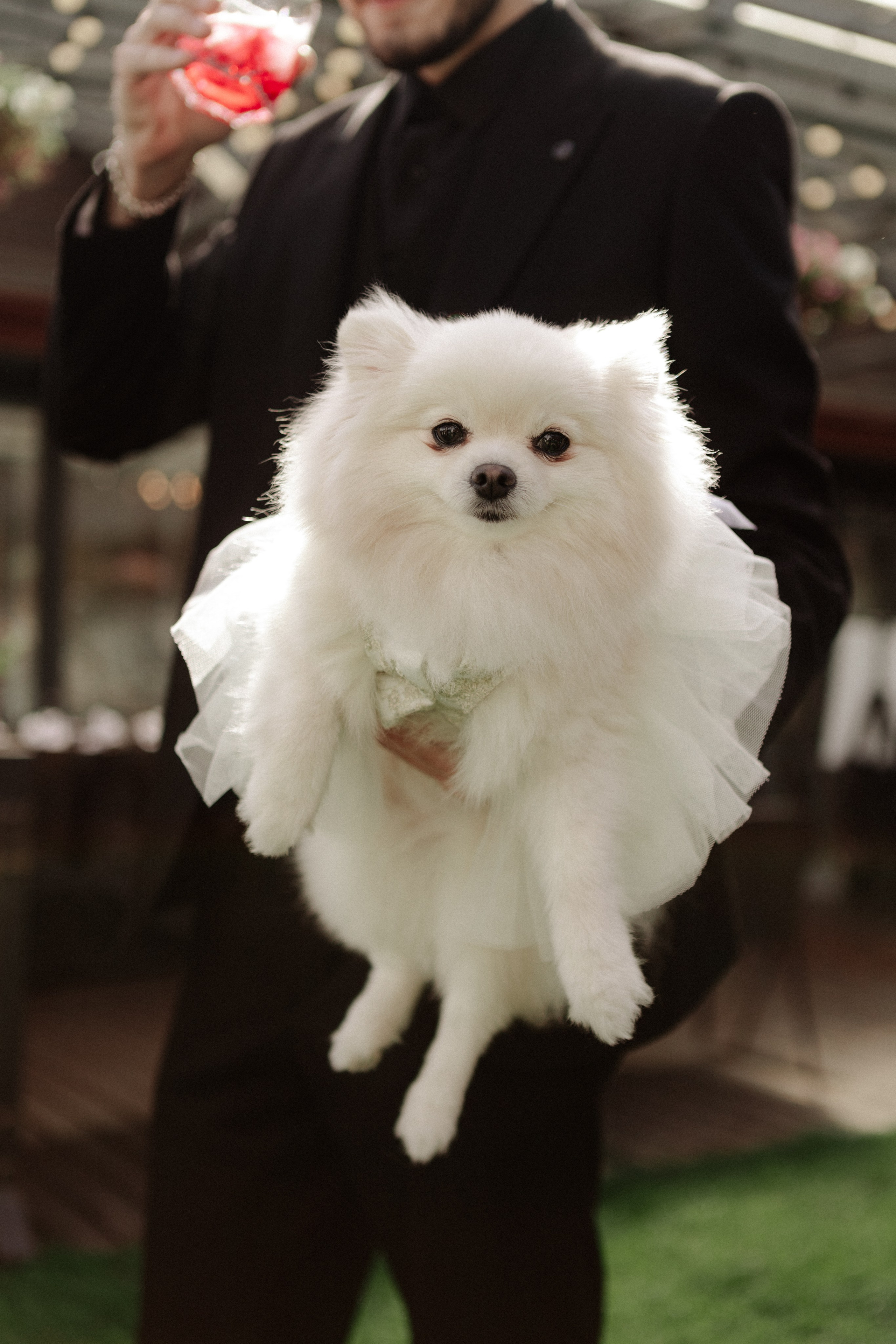 Аля и Паша. Свадьба в Пахра Парк. Свадебный и портретный фотограф в Москве Анастасия Масюк
