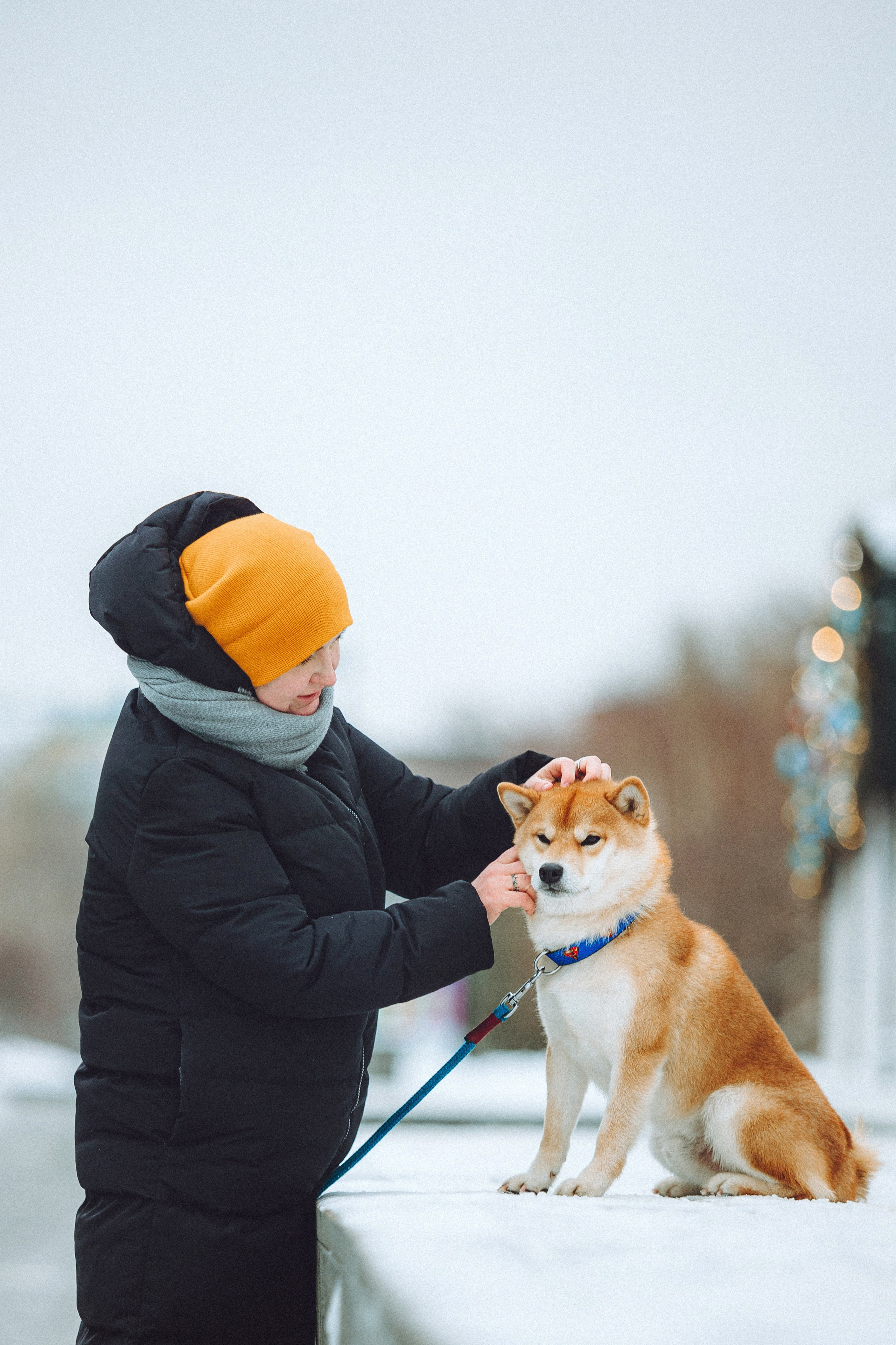 Настя и Ронин