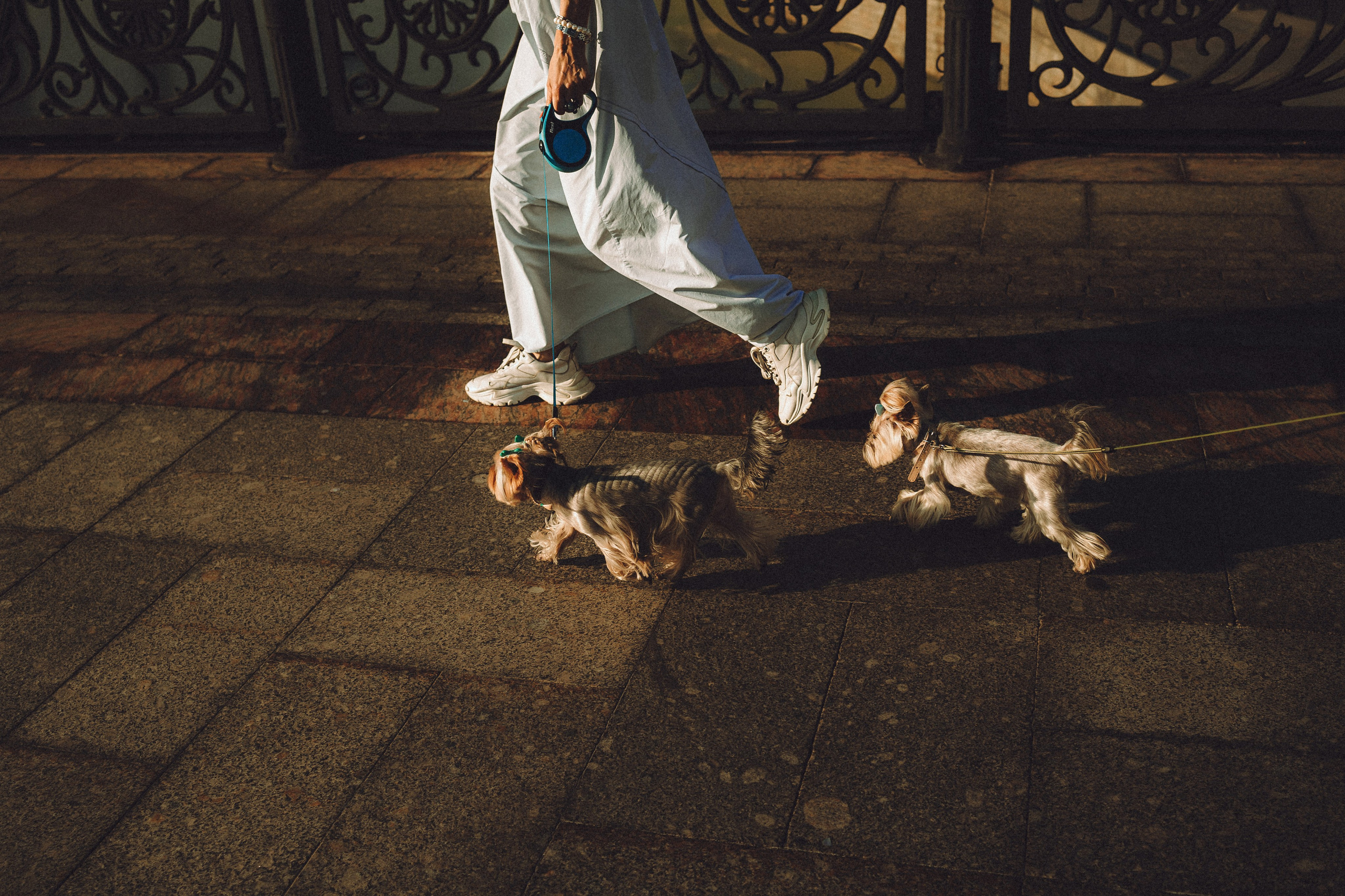 Дженни, Оливия и их семья