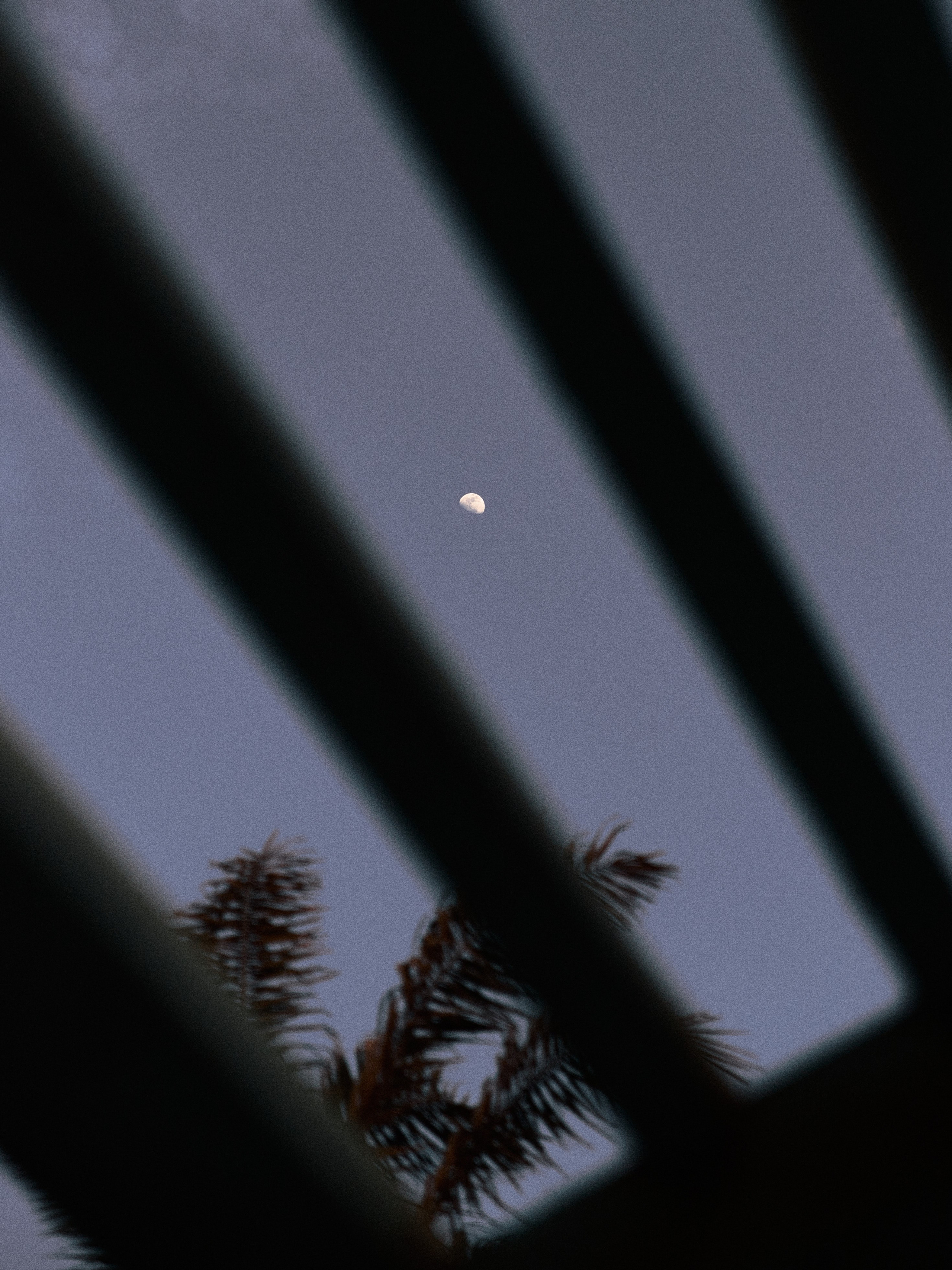 Природа сквозь. Jorgis Talè — photographer, kind person, teacher of arts and other mag