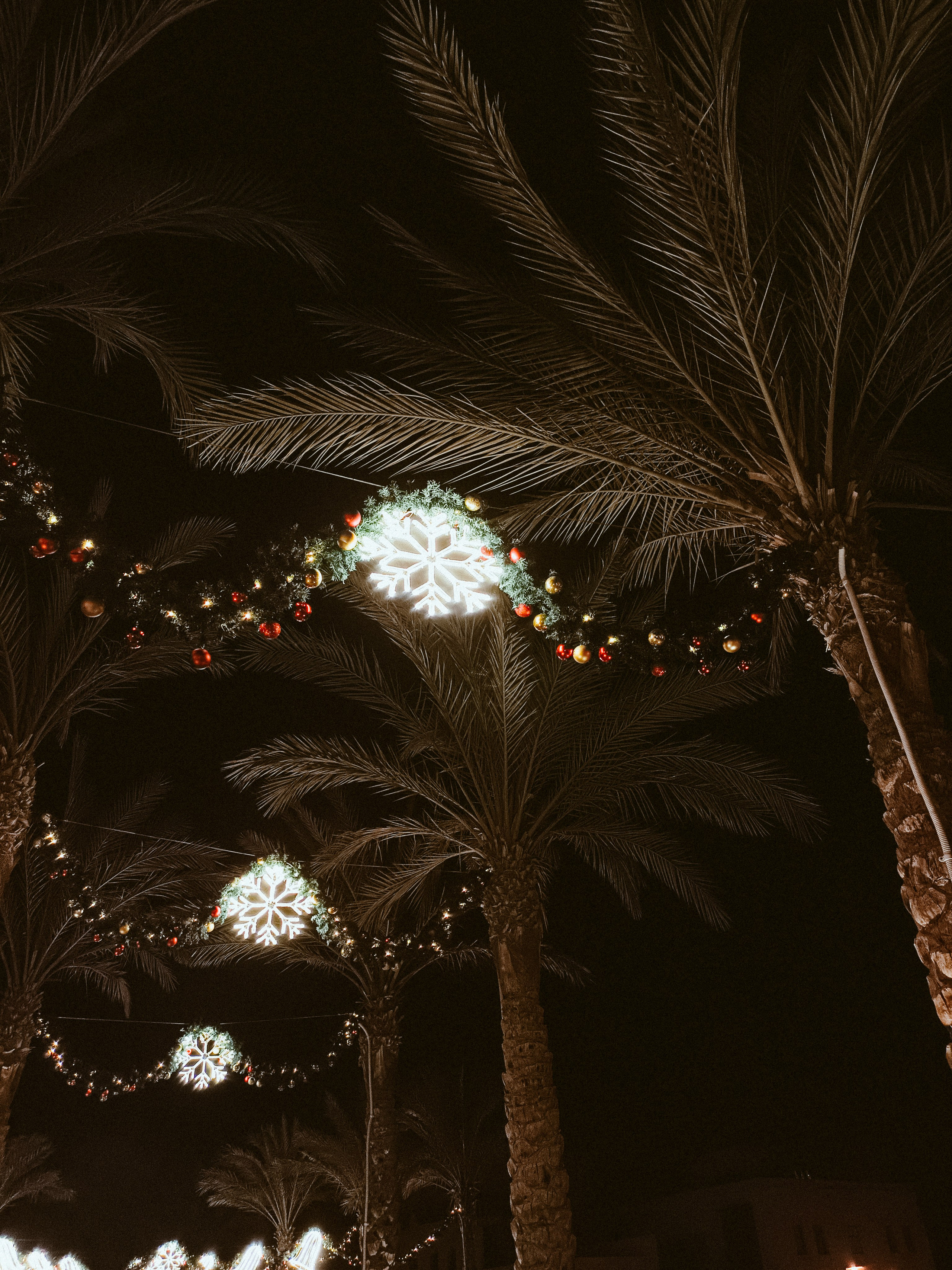 Мобильная. Jorgis — фотограф в Хургаде / обучение фотографии