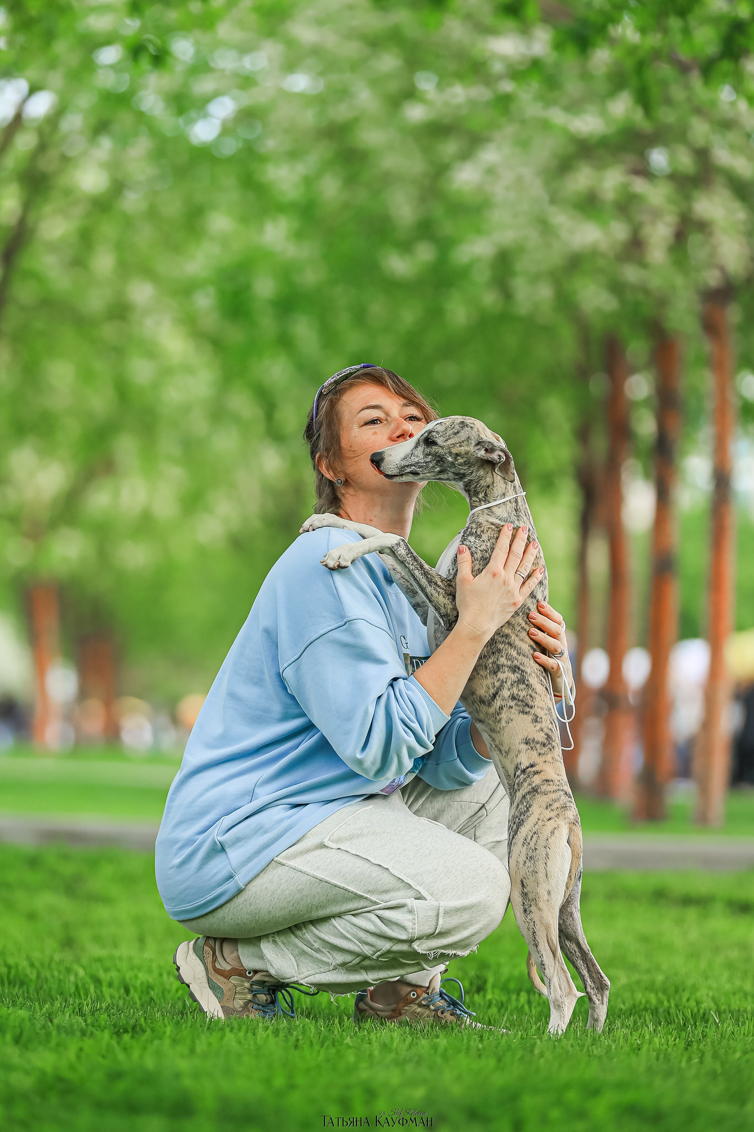 Уиппет, фотография уиппет, собака в цветах, красивая собака, фотограф анималист, фотокурс Анималистика, научиться фотографировать собак, фотограф Новосибирск