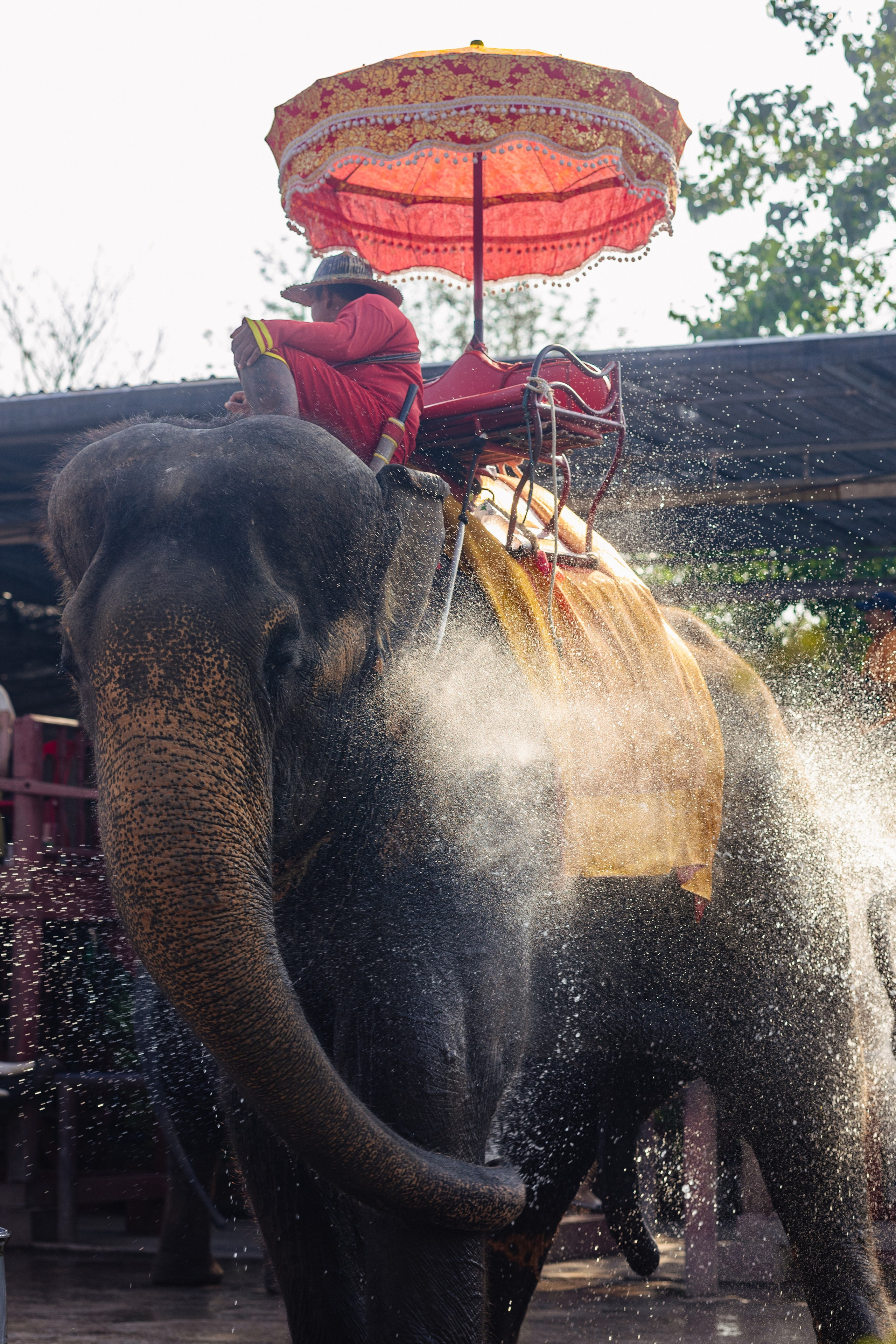Ayutthaya. Photographer Sonkina Tatiana (Tanya Ash)