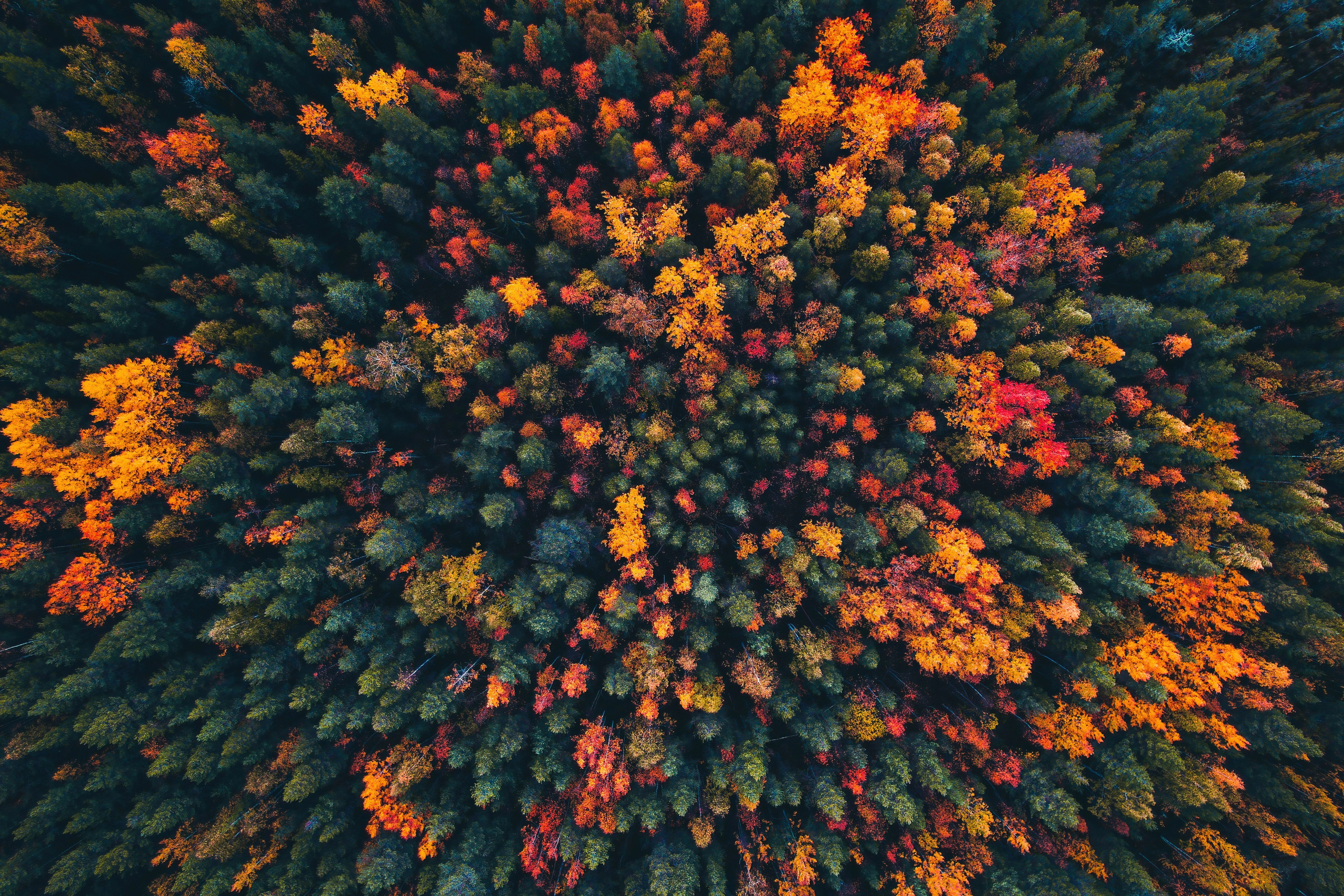 СЕВЕР. Event фотограф Степанова Александра