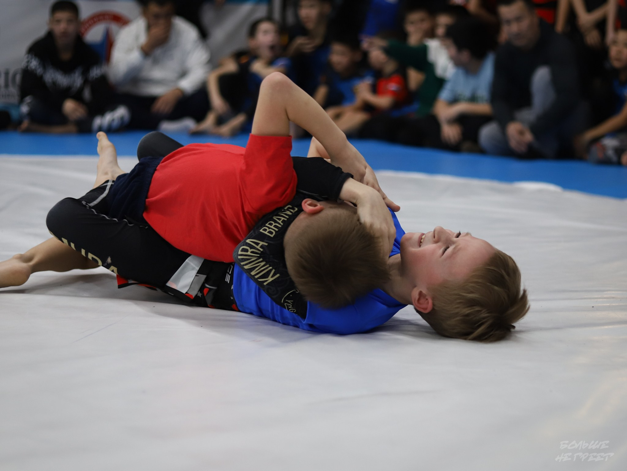 GORILLA PRIDE CUP. Больше не греет