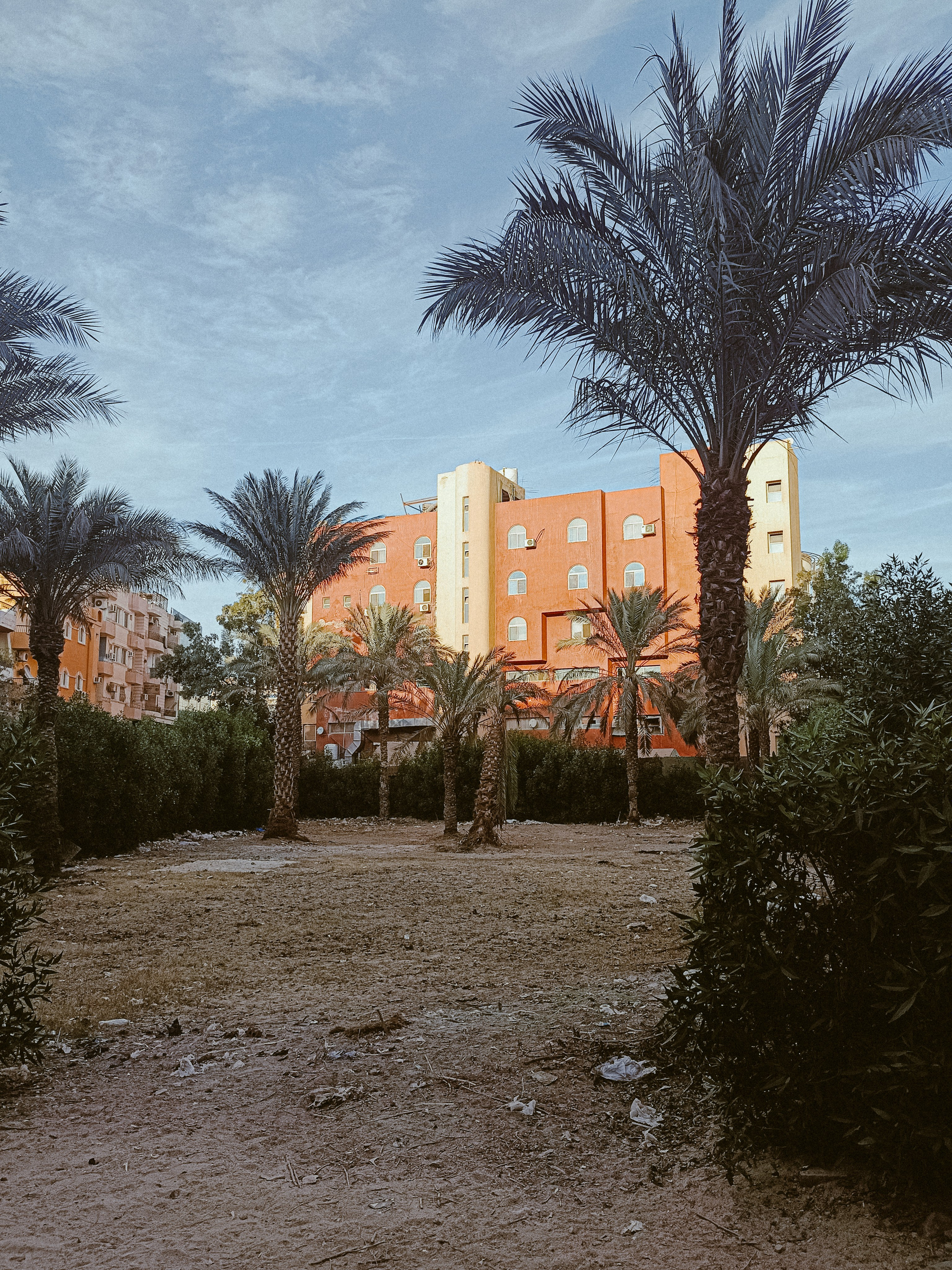 Мобильная. Jorgis — фотограф в Хургаде / обучение фотографии