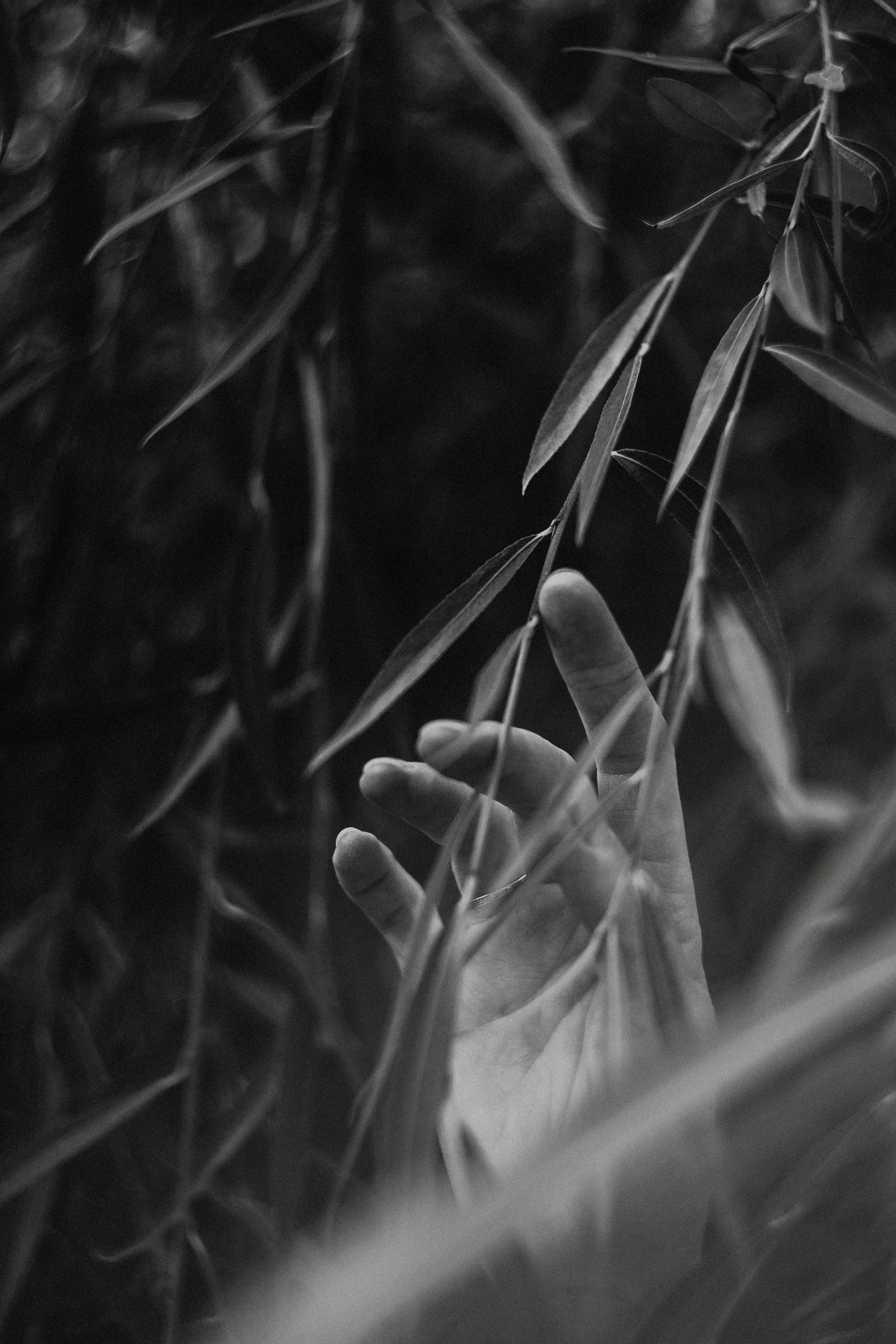 Анна на Щелчке. Осень. Фотограф в Нижнем Новгороде