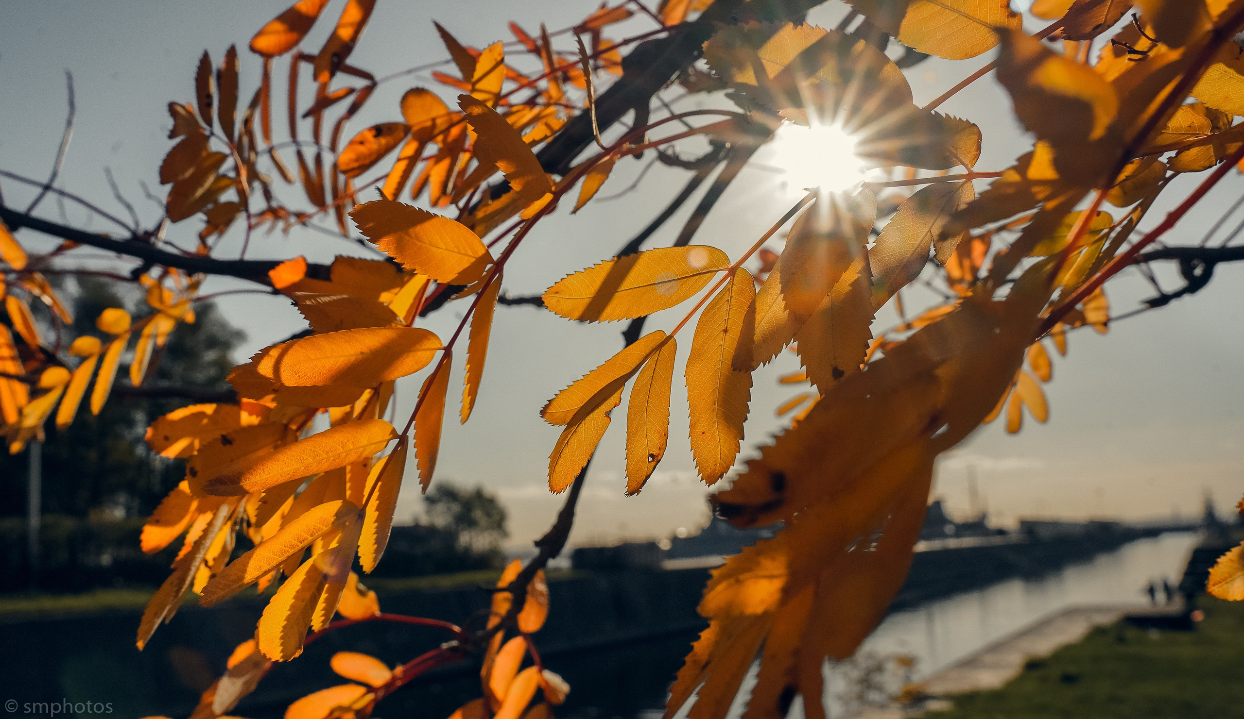 Уличная и репортажная фотография. Репортажный фотограф в Москве Светлана Мулыкина