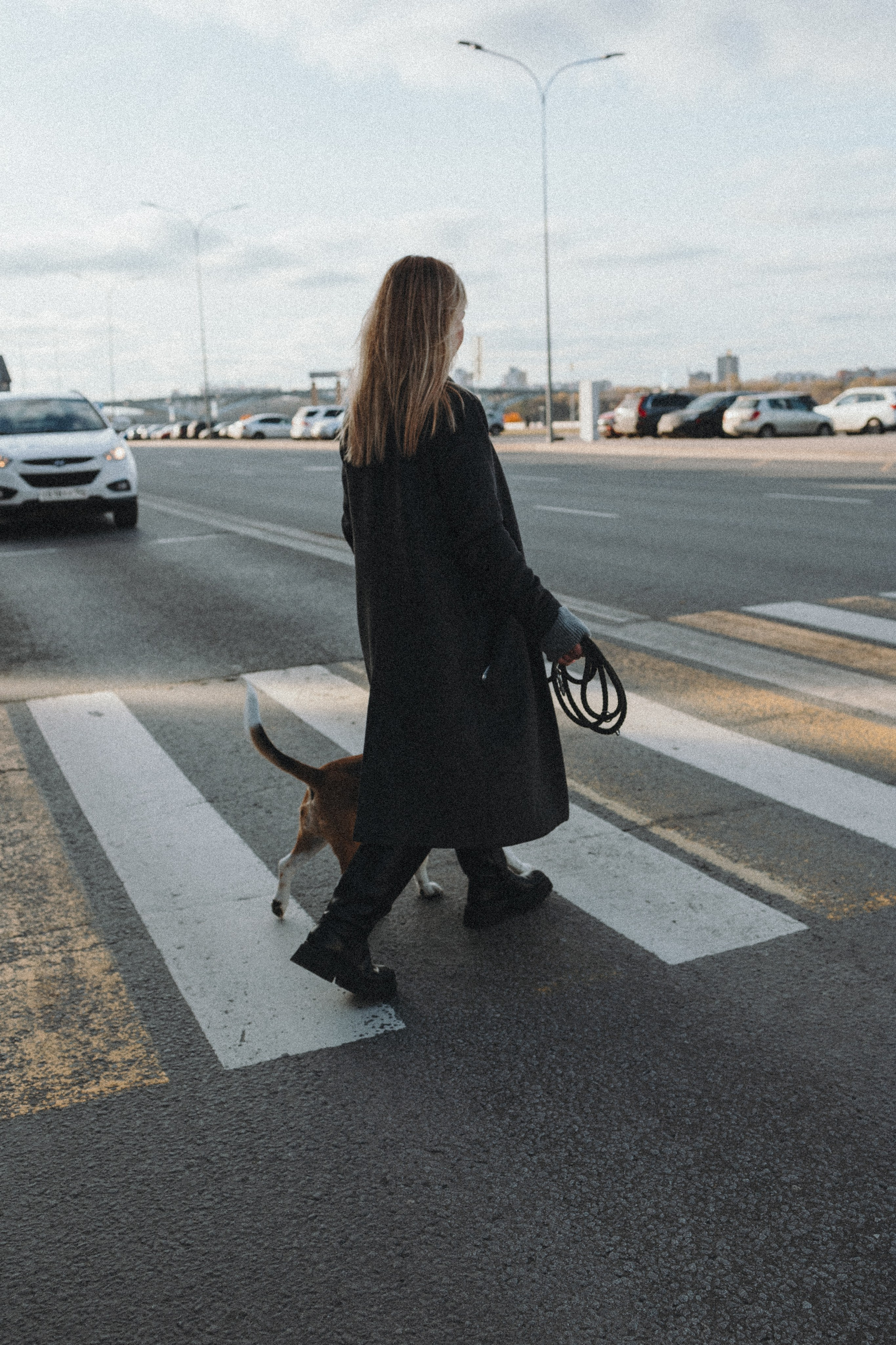 Аня и Моня. Фотограф — анималист Светлана Кысса|фотограф собак в Краснодаре и Нижнем Новгороде