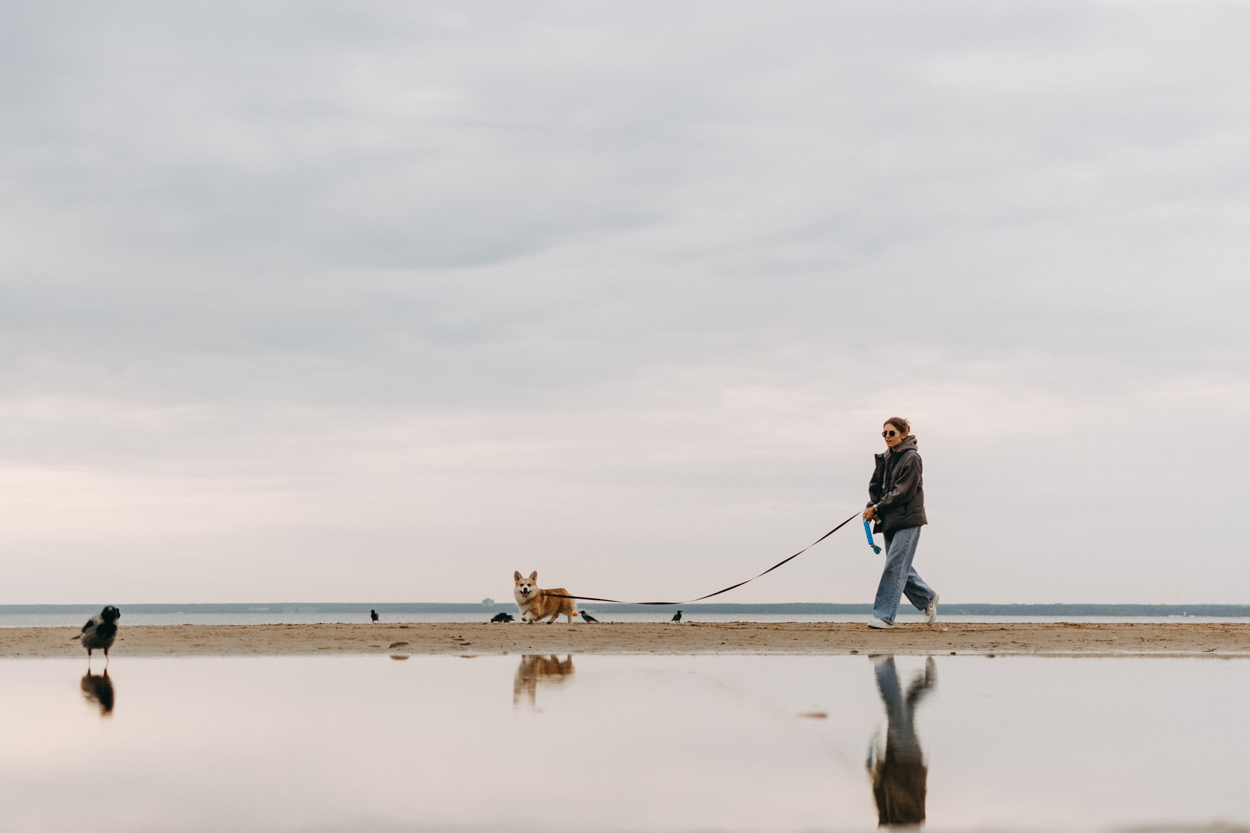 Лиза и Бакс. Фотограф — Анималист | Санкт-Петербург