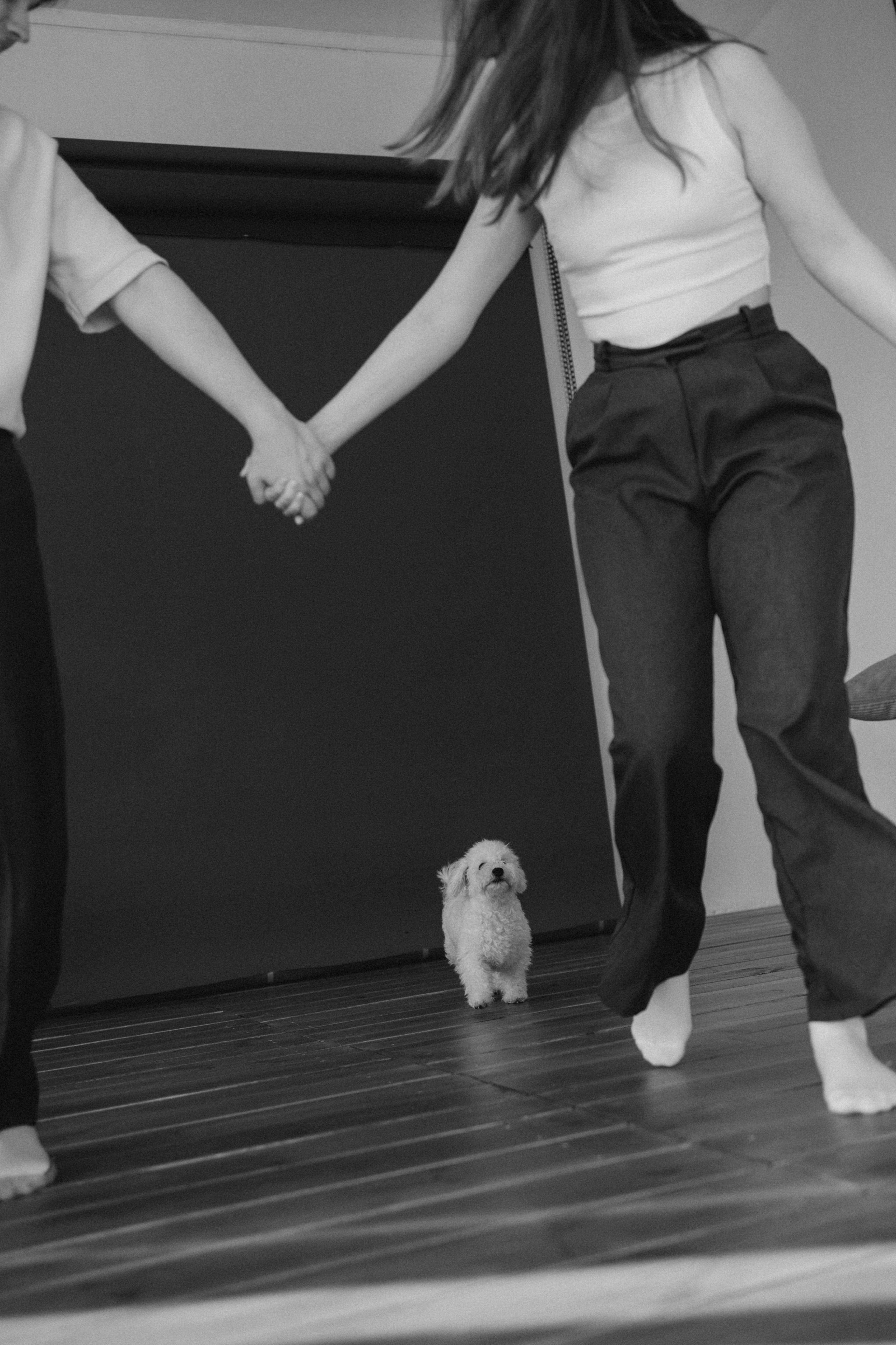 Луна и ее семья. Фотограф — Анималист | Санкт-Петербург