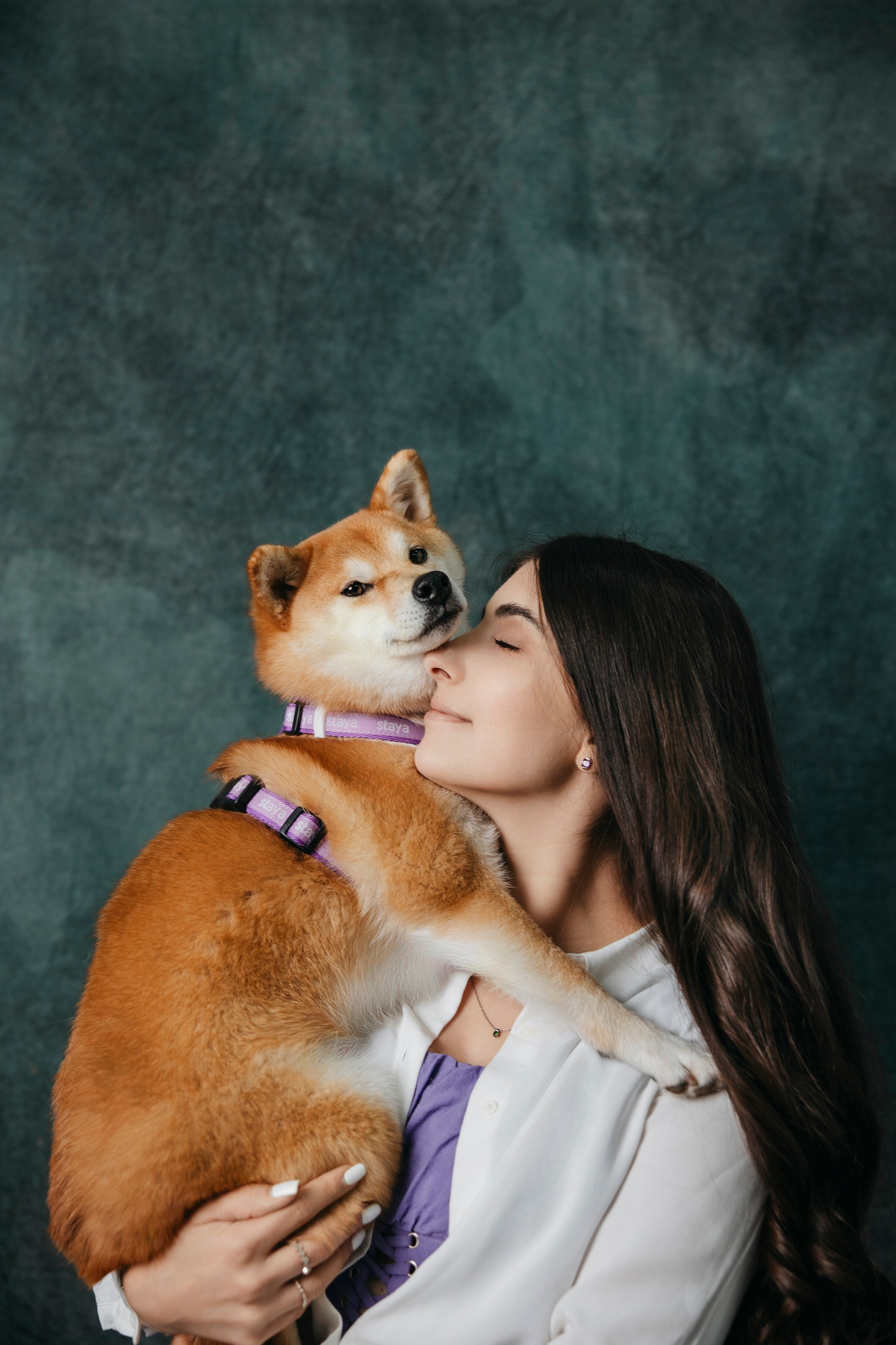 Съемка в студии с собакой. Анастасия Белаш