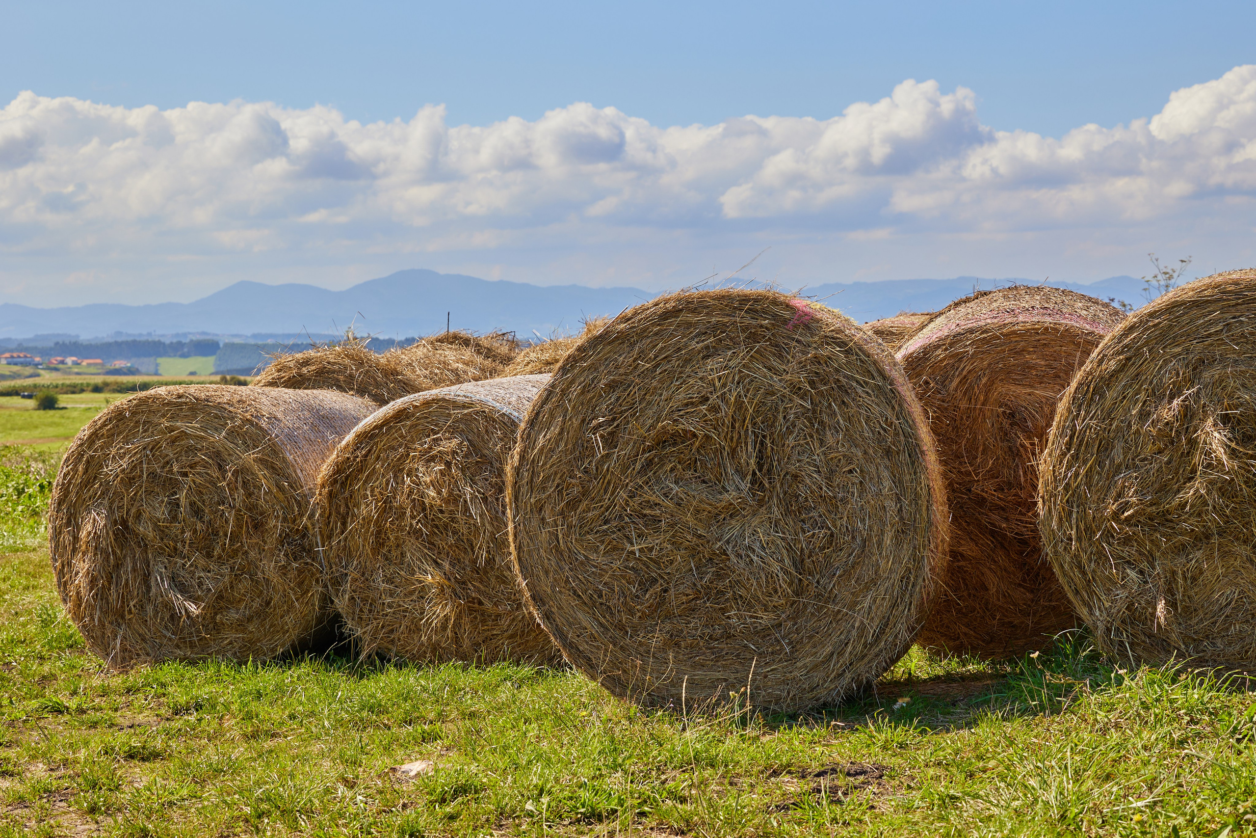 Landscape Photography from Valencia. Photographer Videographer & Drone pilot in Valencia — Anna Baranova