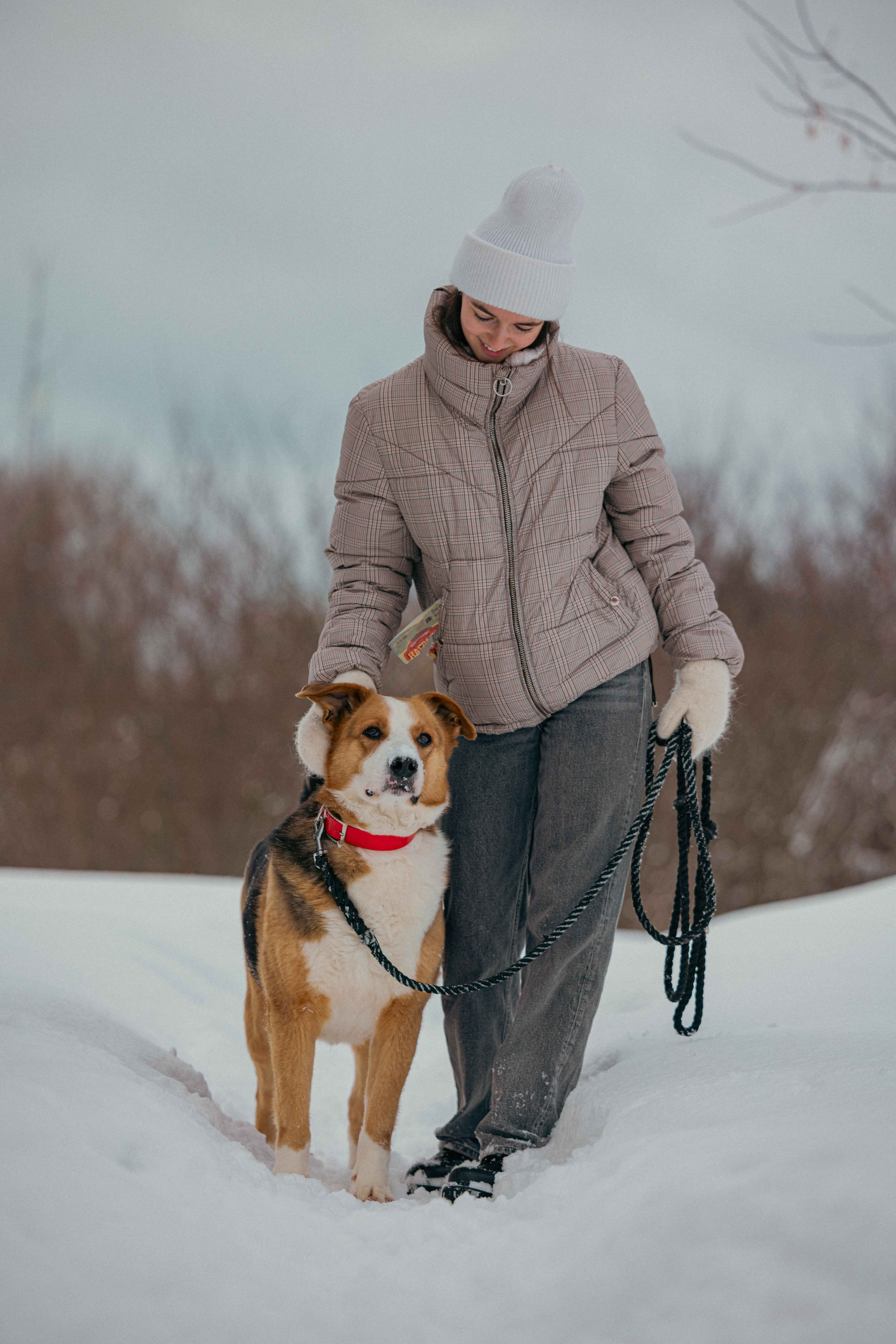 Петя. Фотограф-анималист в Москве Лера Черноног