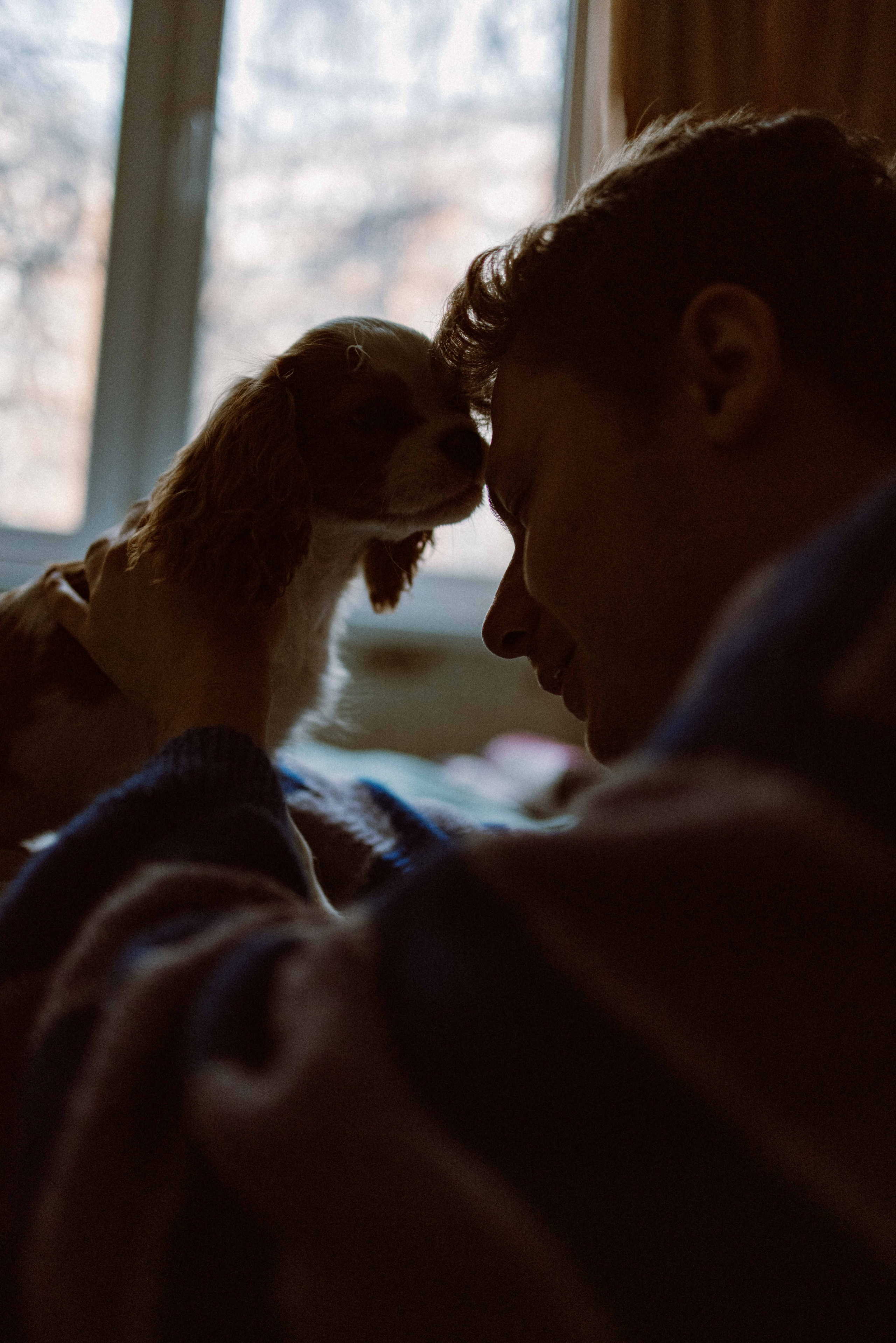 Юля и Кипр. Фотограф-анималист в Москве Лера Черноног