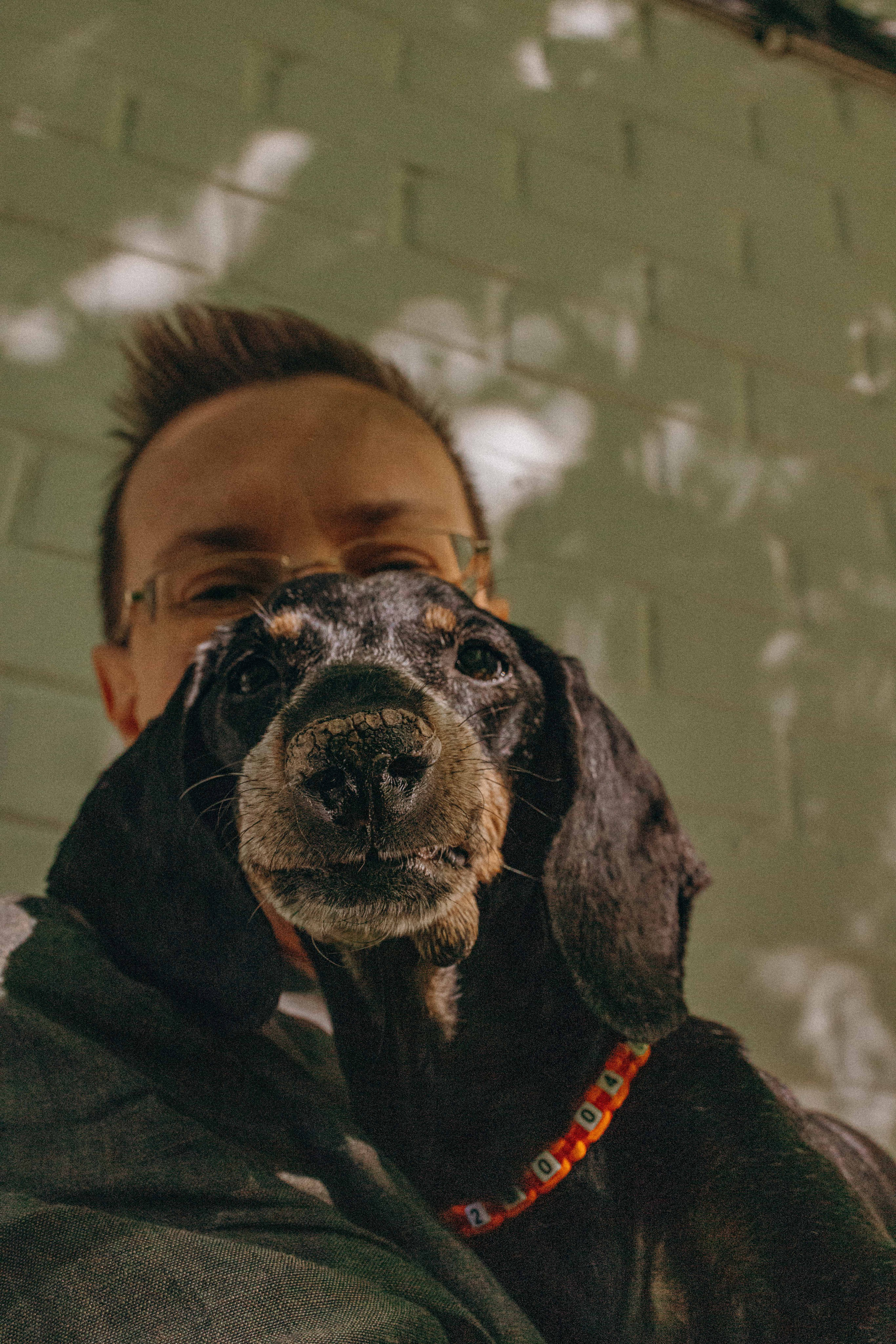 Наталья, Марфа и Норд. Фотограф-анималист в Москве Лера Черноног