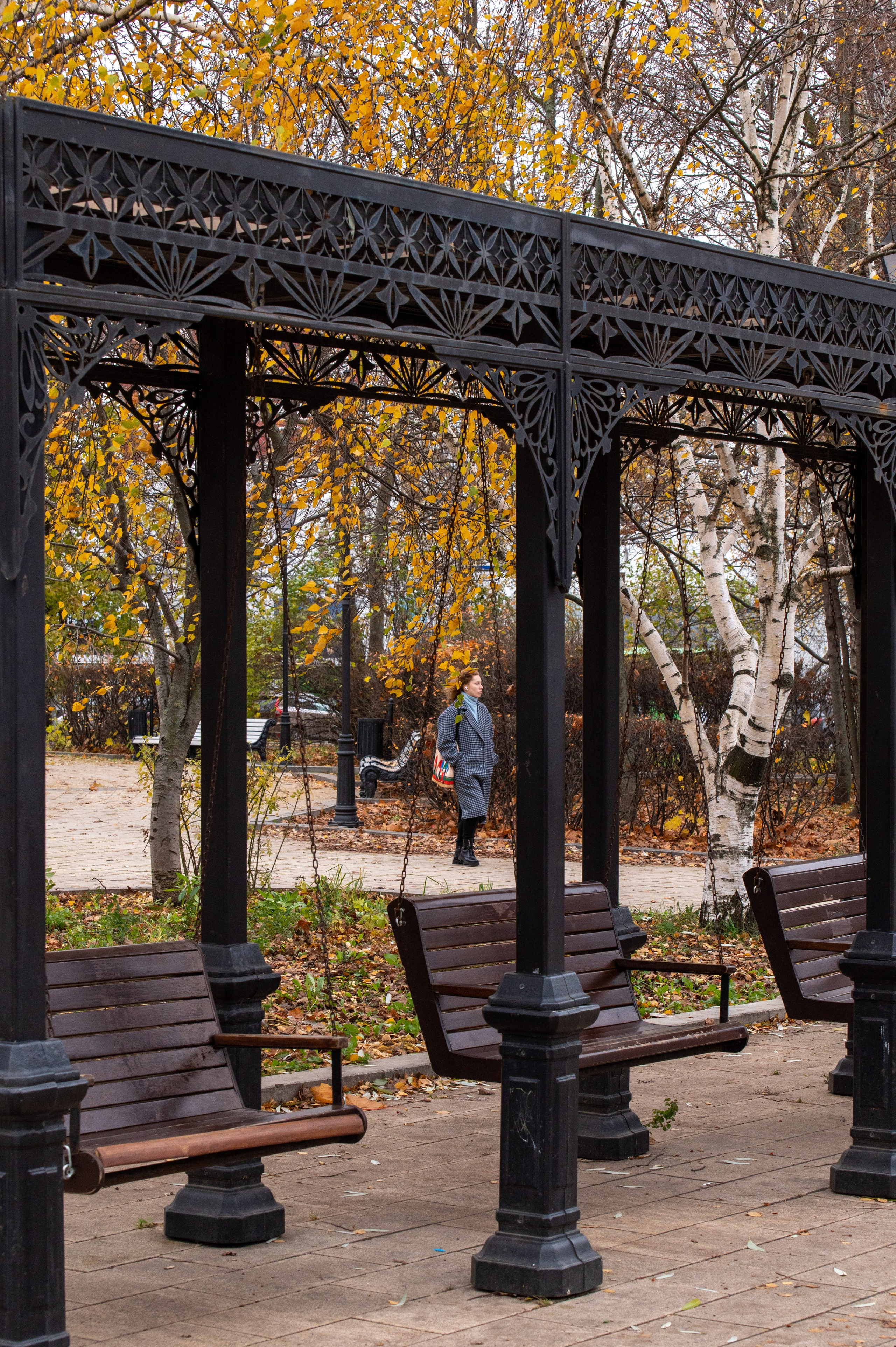 20221030 Новодевичий. Дмитрий Ремизов. Фотография, как хобби