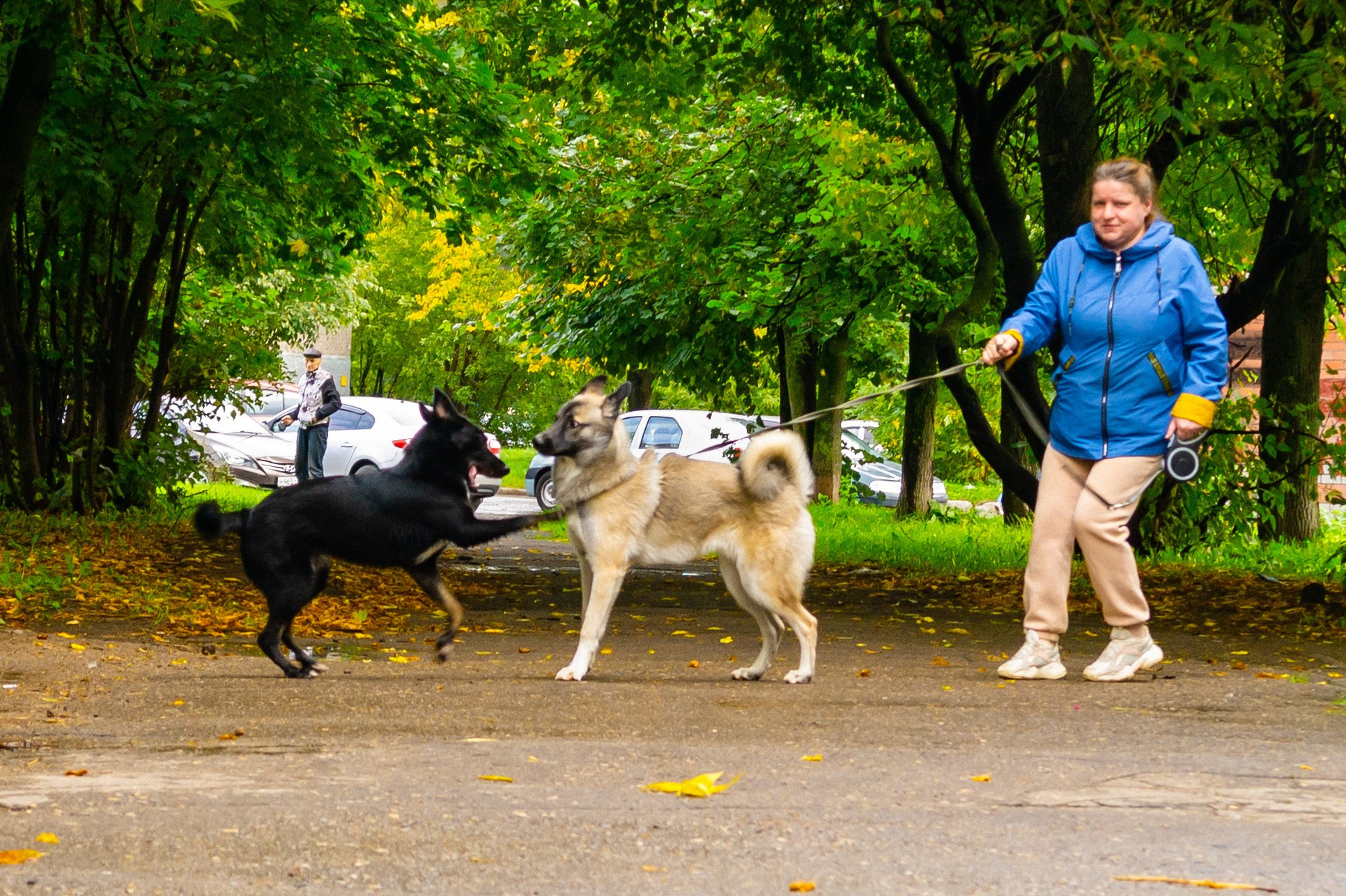 Сентябрь 2025. Den Mirov — Фотограф, Музыкант