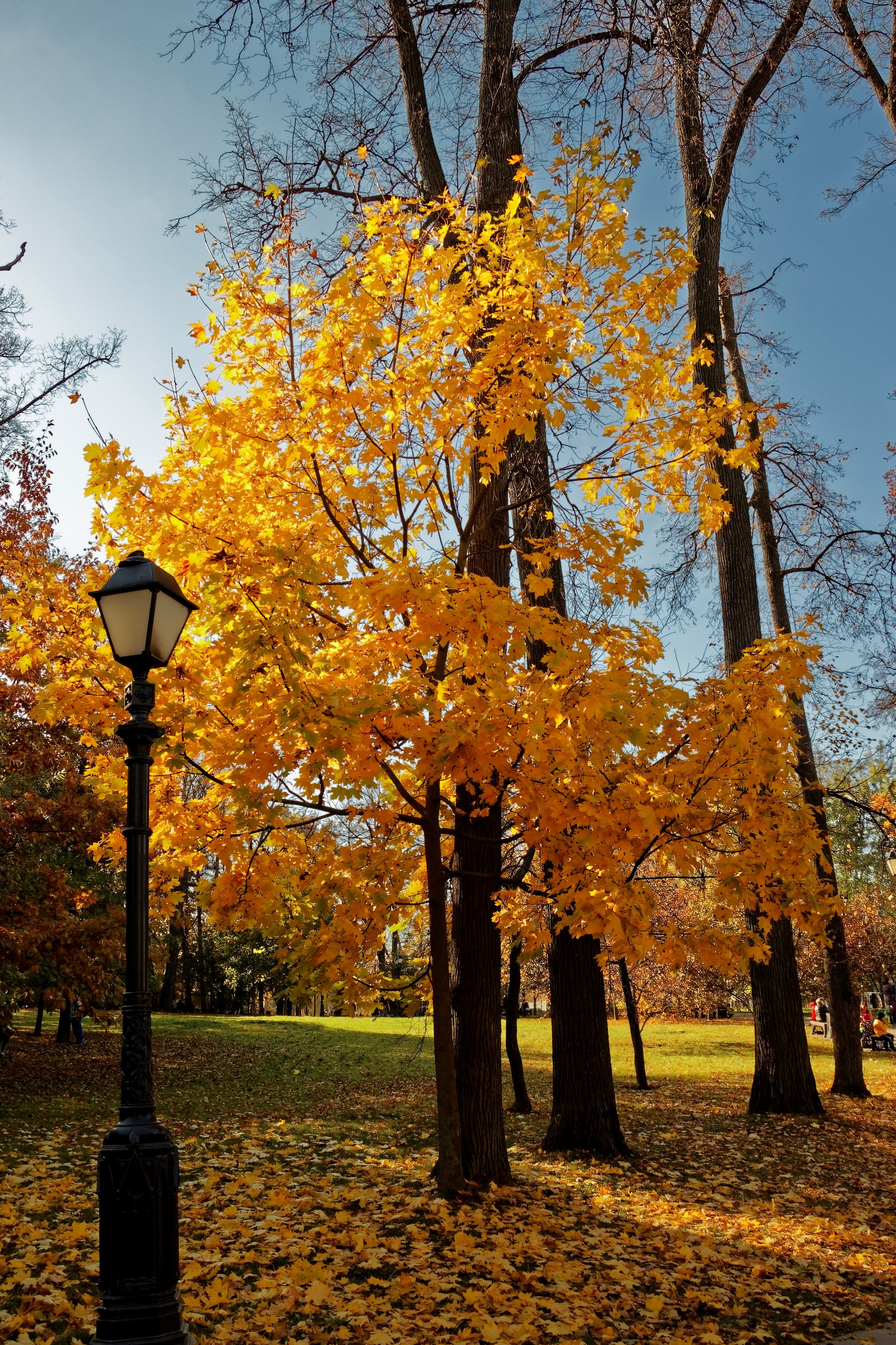 ЦАРИЦИНО. Фотограф Владимир Роля