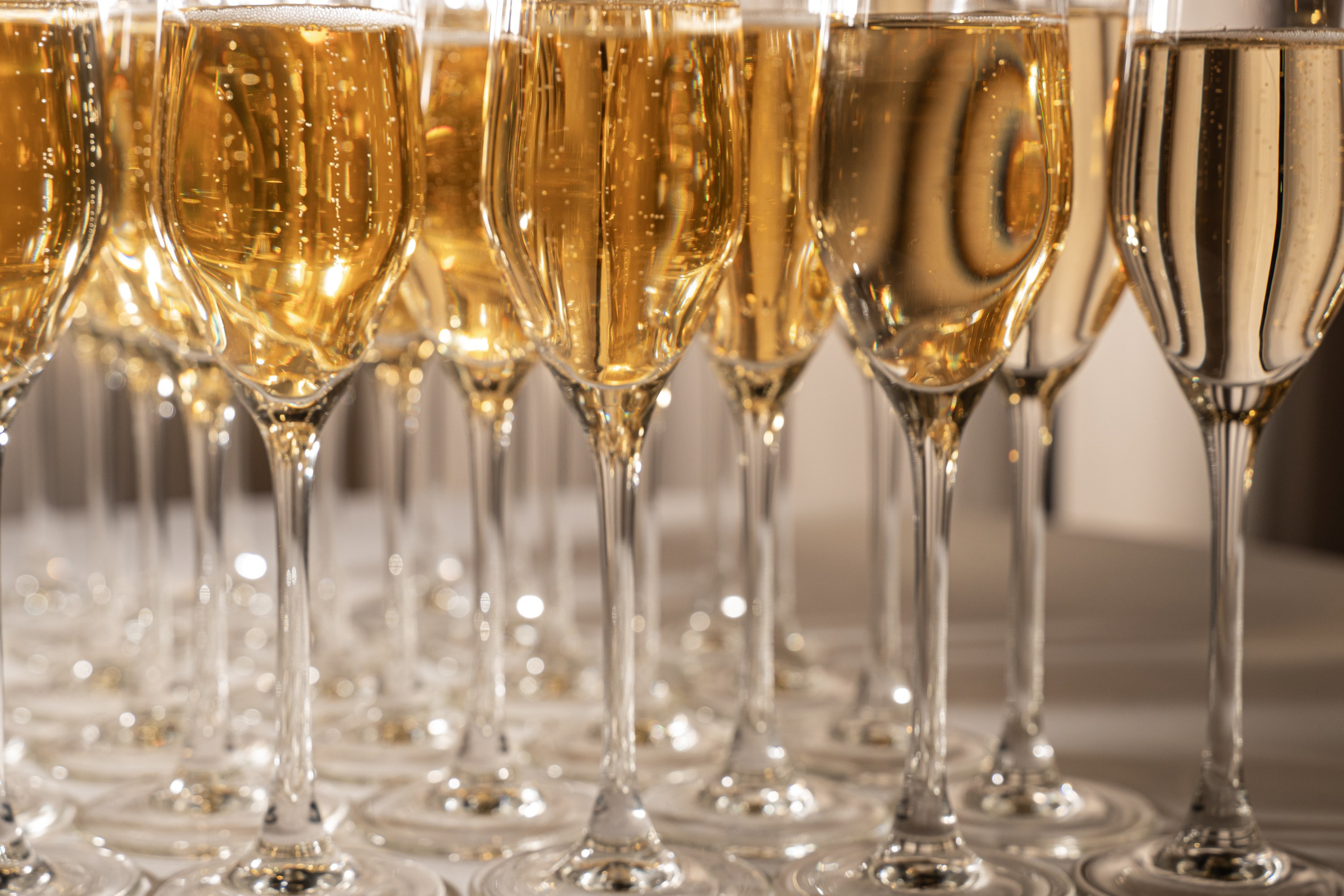 Репортаж с новогоднего корпоратива Jani Cristal