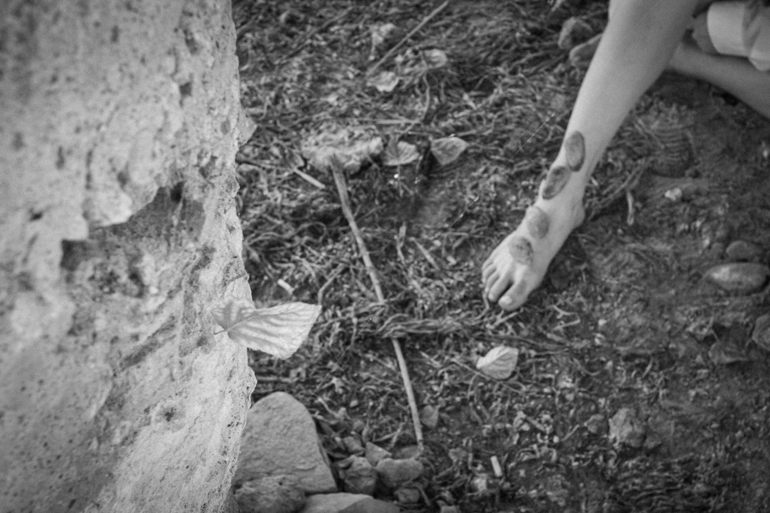 Лето задержалось. • Фотограф Александра Светозар Алчевск •