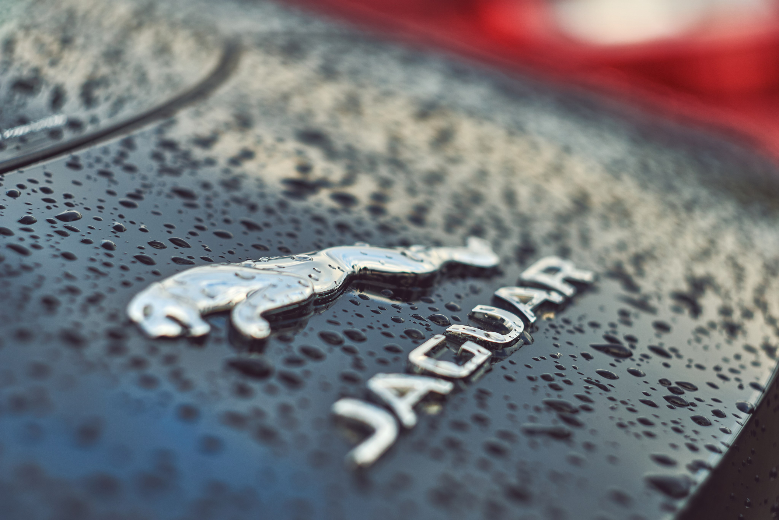 Закрытие дрифт сезона. Фотограф во Владивостоке