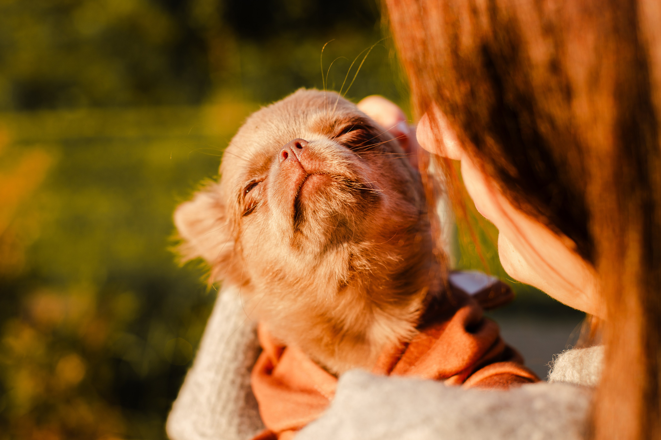 Варя и Фунтик. Фотограф-анималист Мария Баркевич | Москва