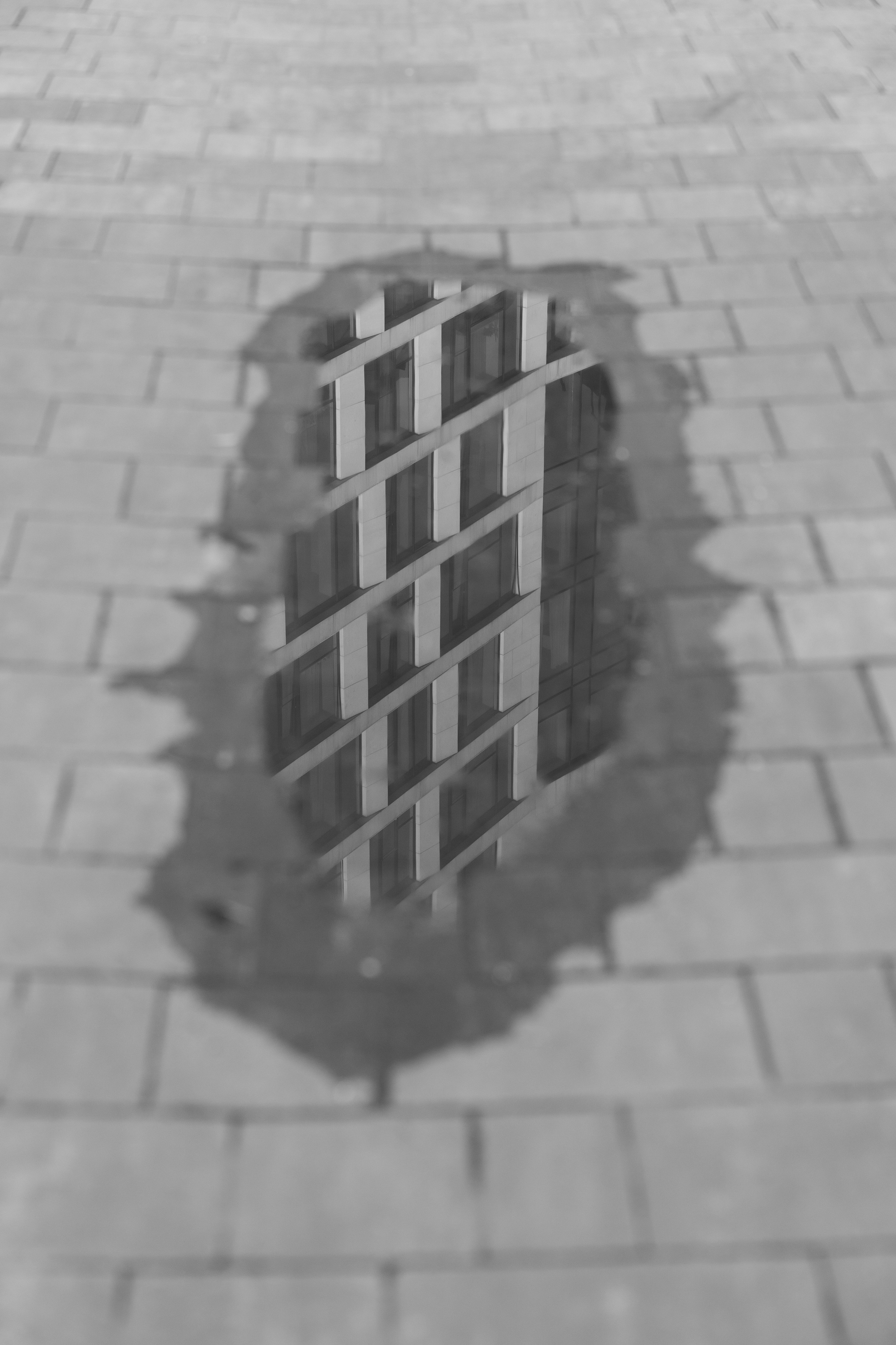 Art prints. Фотограф алина стерхова, алина стерхова фотограф, фотограф москва