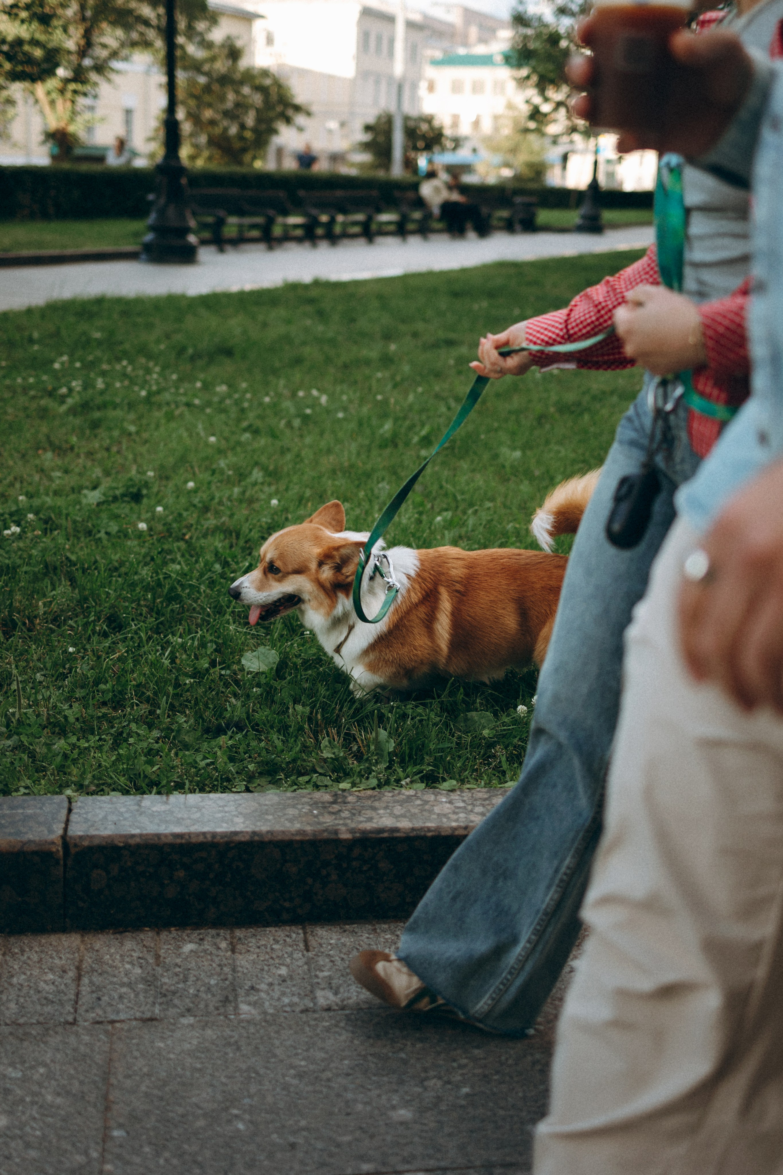 Момо, Люда и Эд. Фотограф анималист Анастасия Пикей