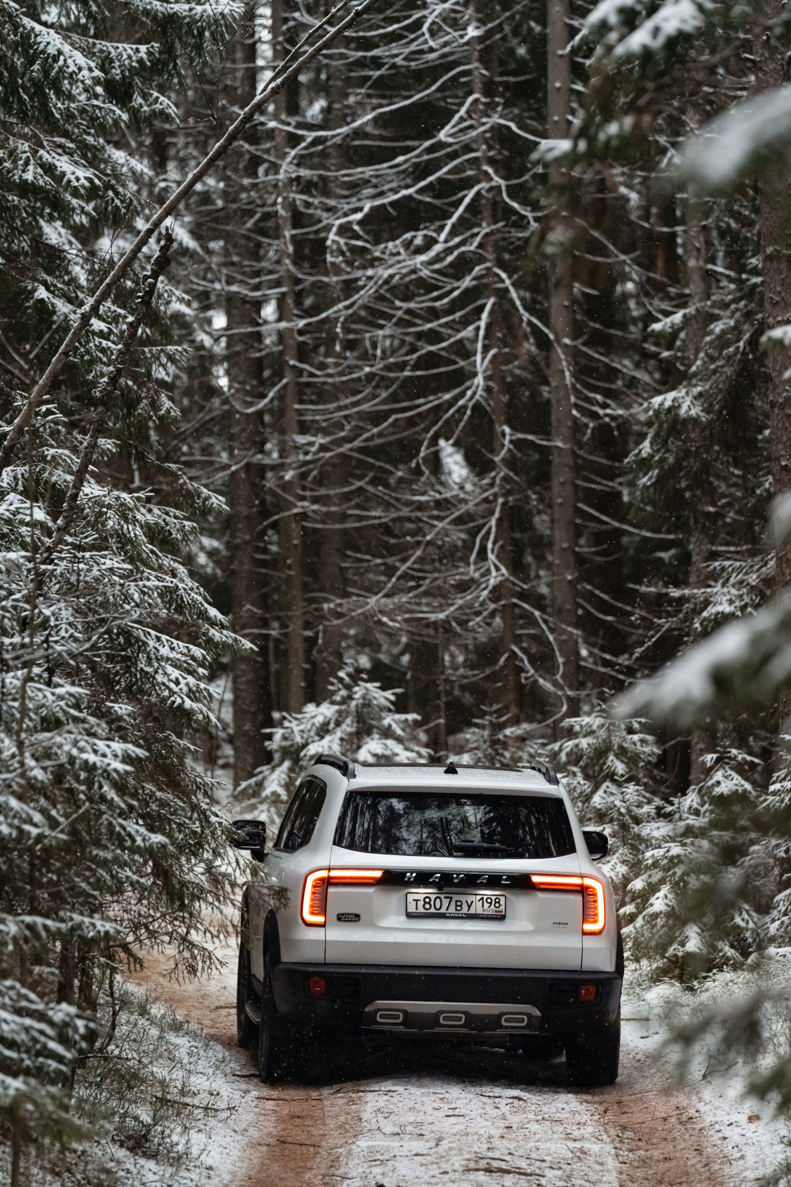 HAVAL S-Peterburg. Безрукова Юлия Art | EVENT Фотограф Москва