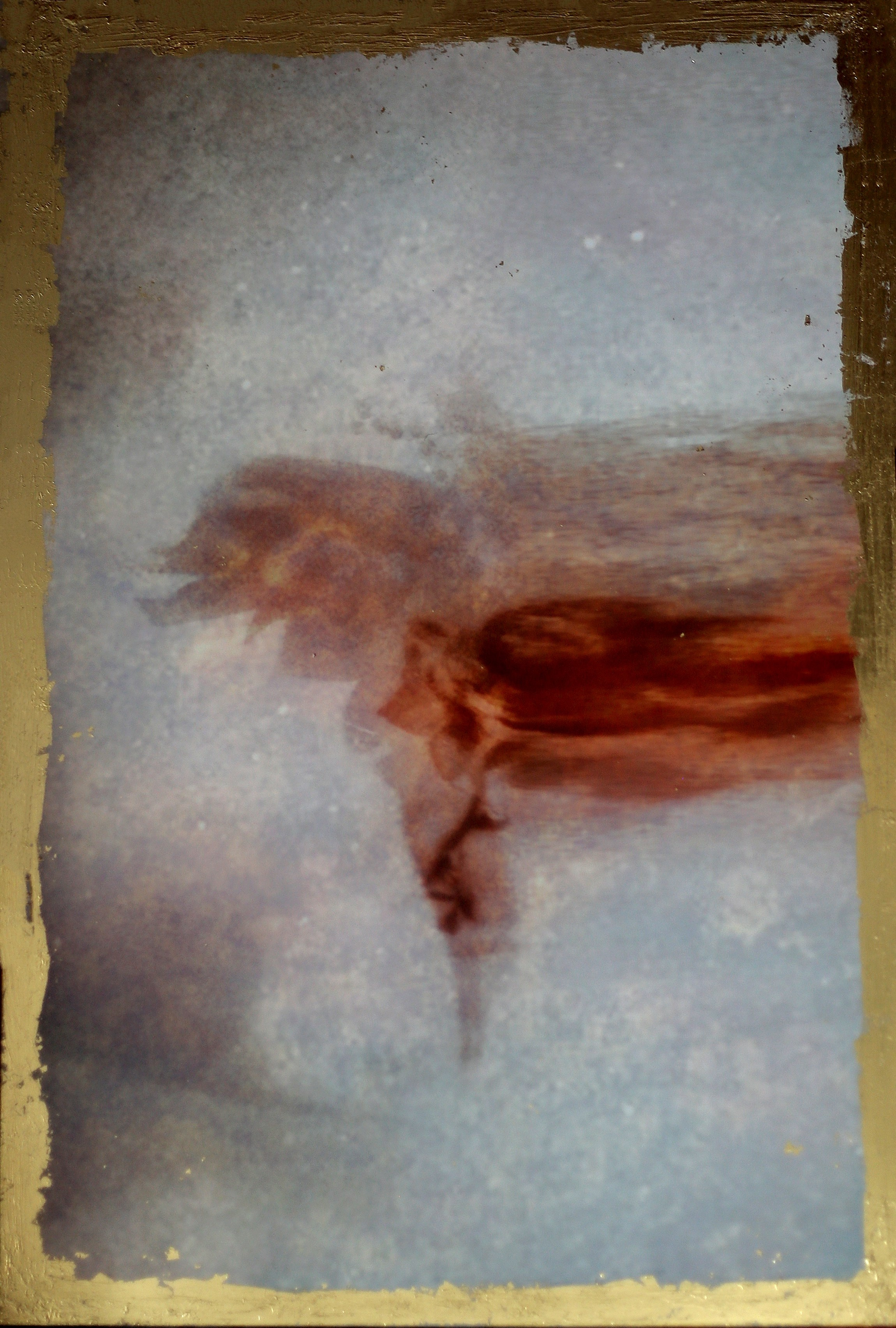 Эфемерность. Элина Михальцова, визуальный артист, фотограф в Екатеринбурге