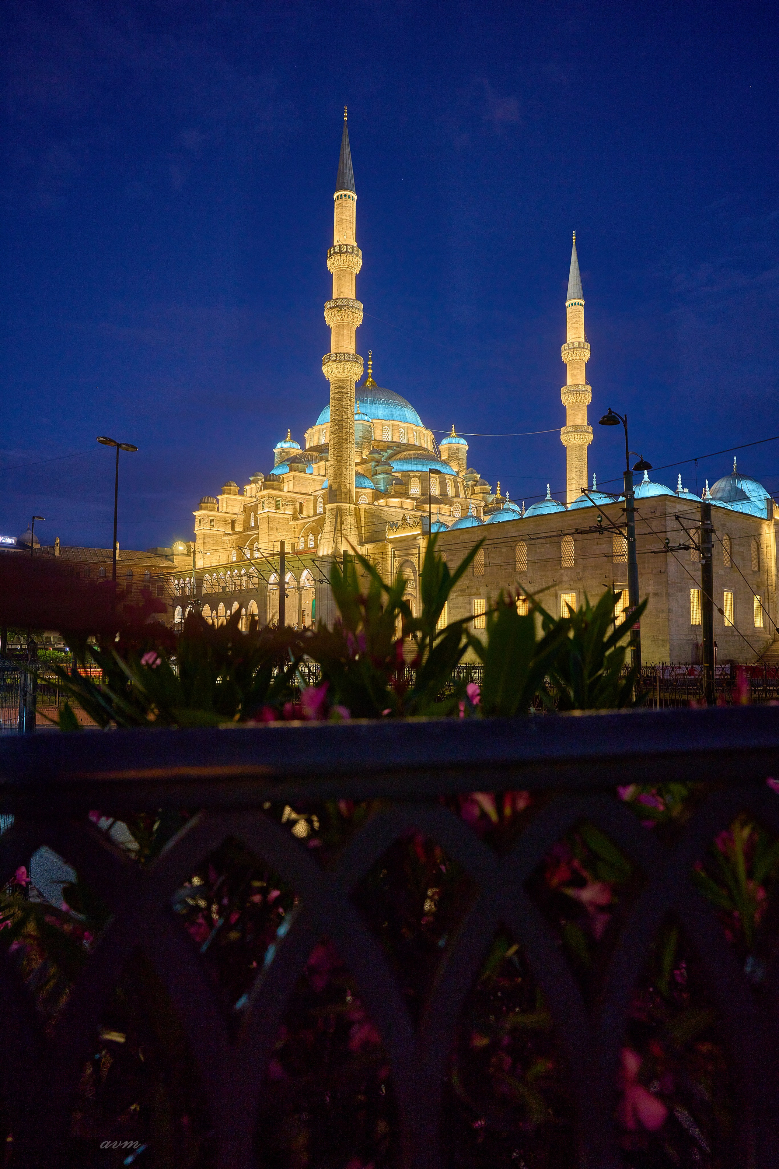 Стамбул 2023. Фотограф Михеев Андрей